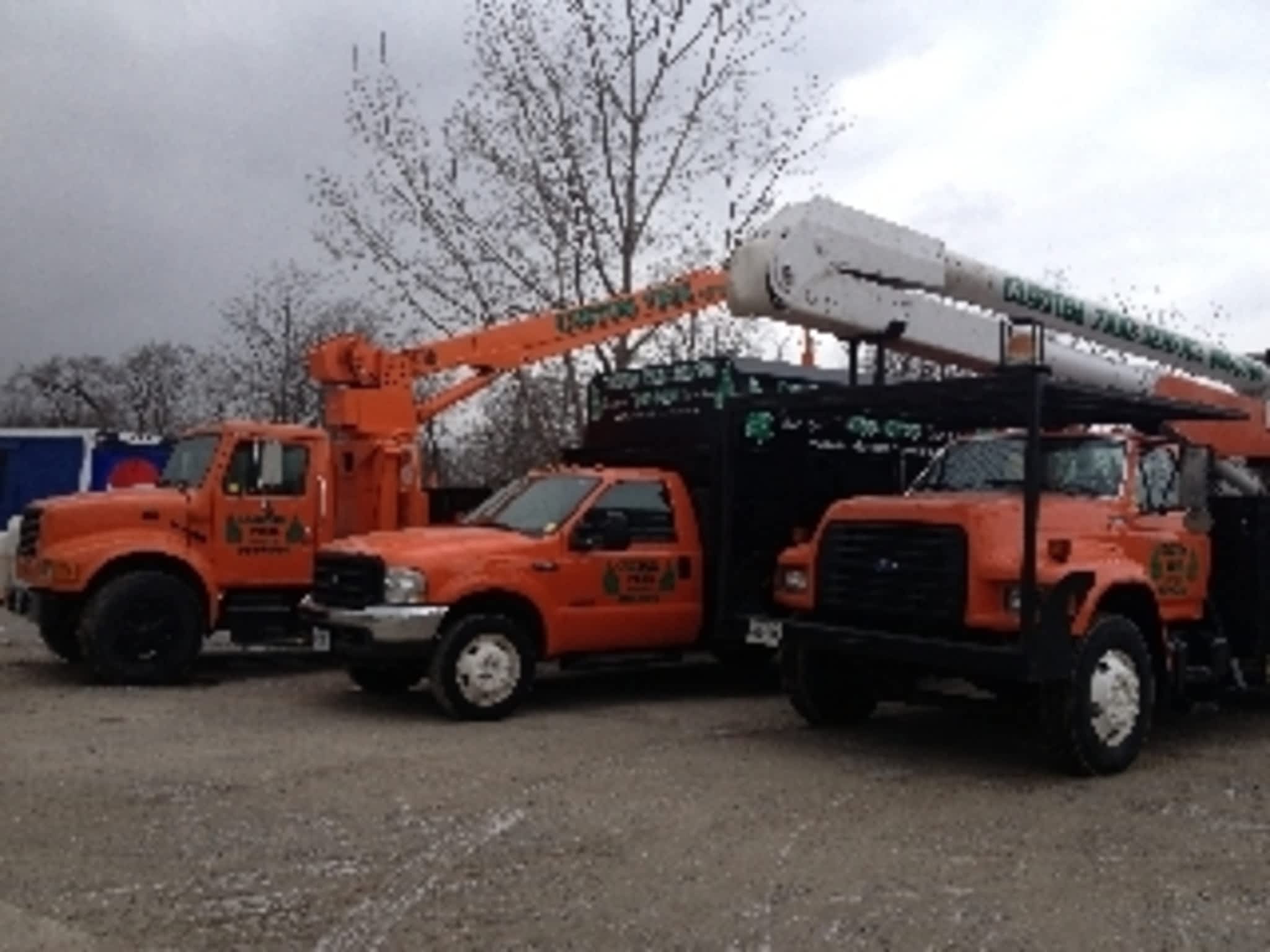 photo Custom Tree Maintenance