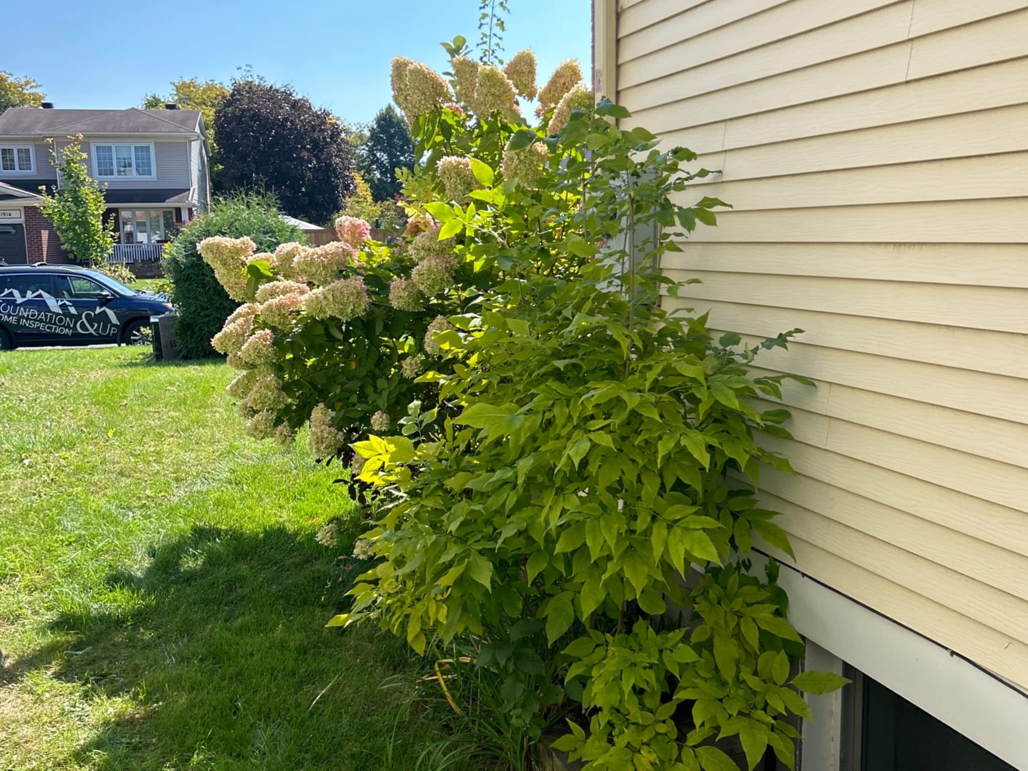 photo Atlas Peak Inspections