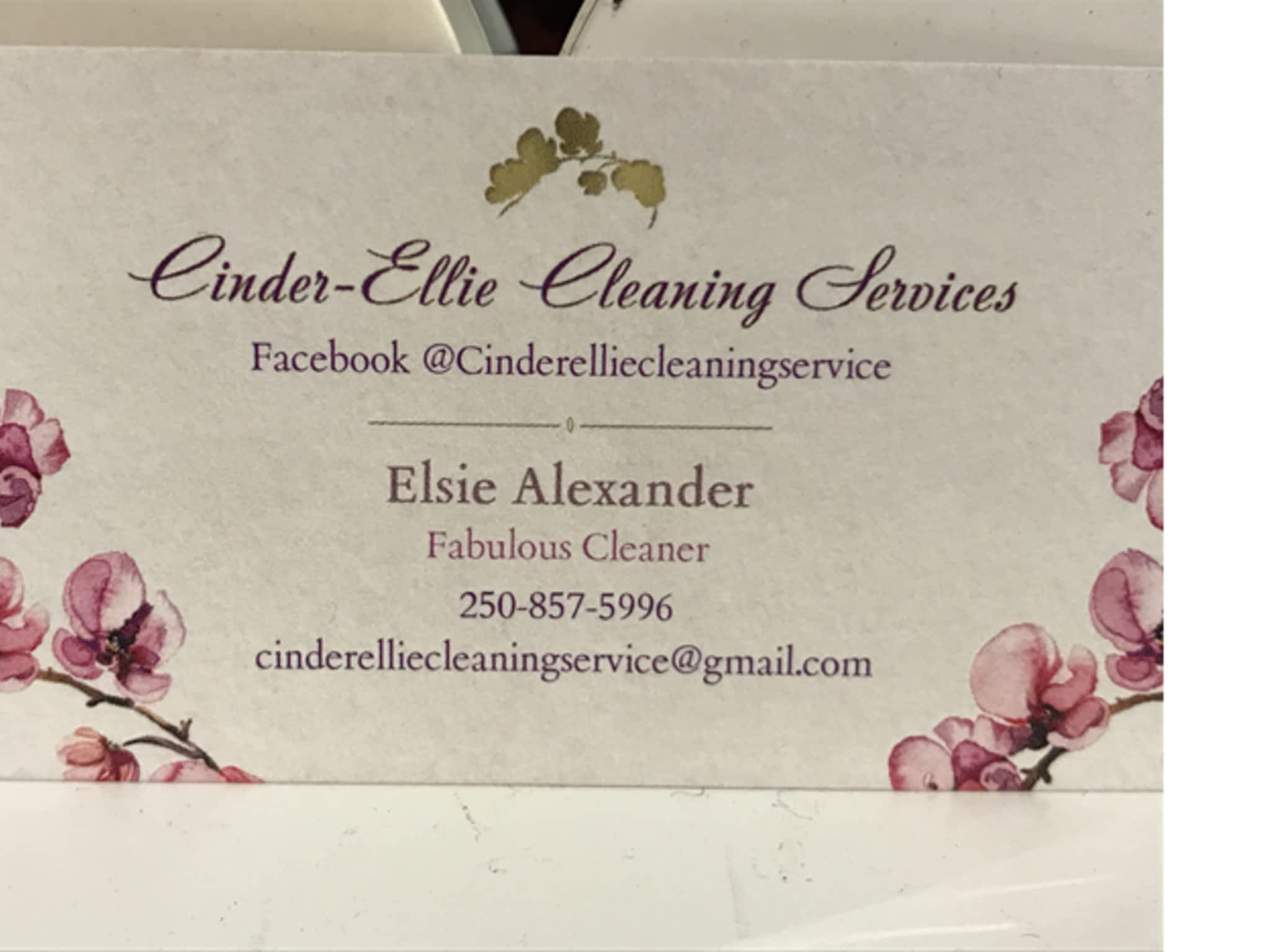 photo Cinder-Ellie Cleaning Service