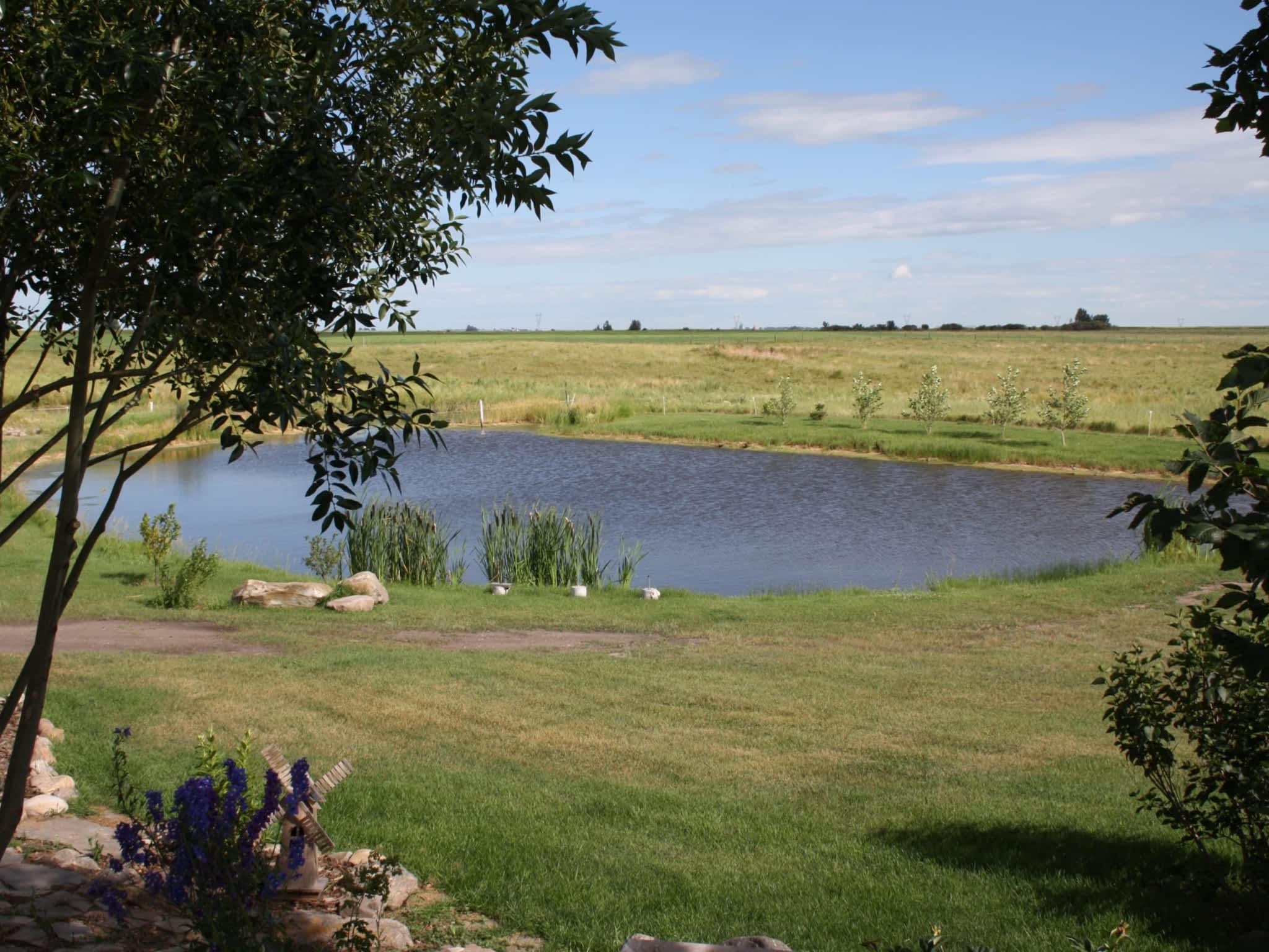 Country Home Kennels Canpages