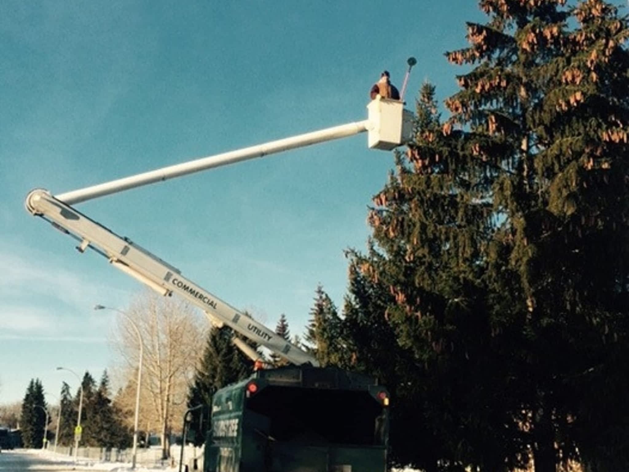 photo Skidstree Services