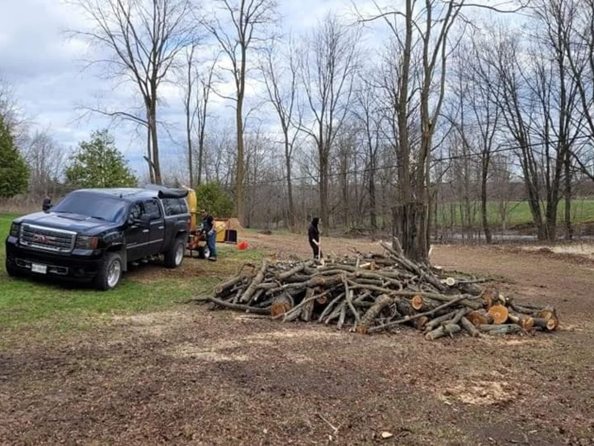 photo Billy Wright Forestry Service