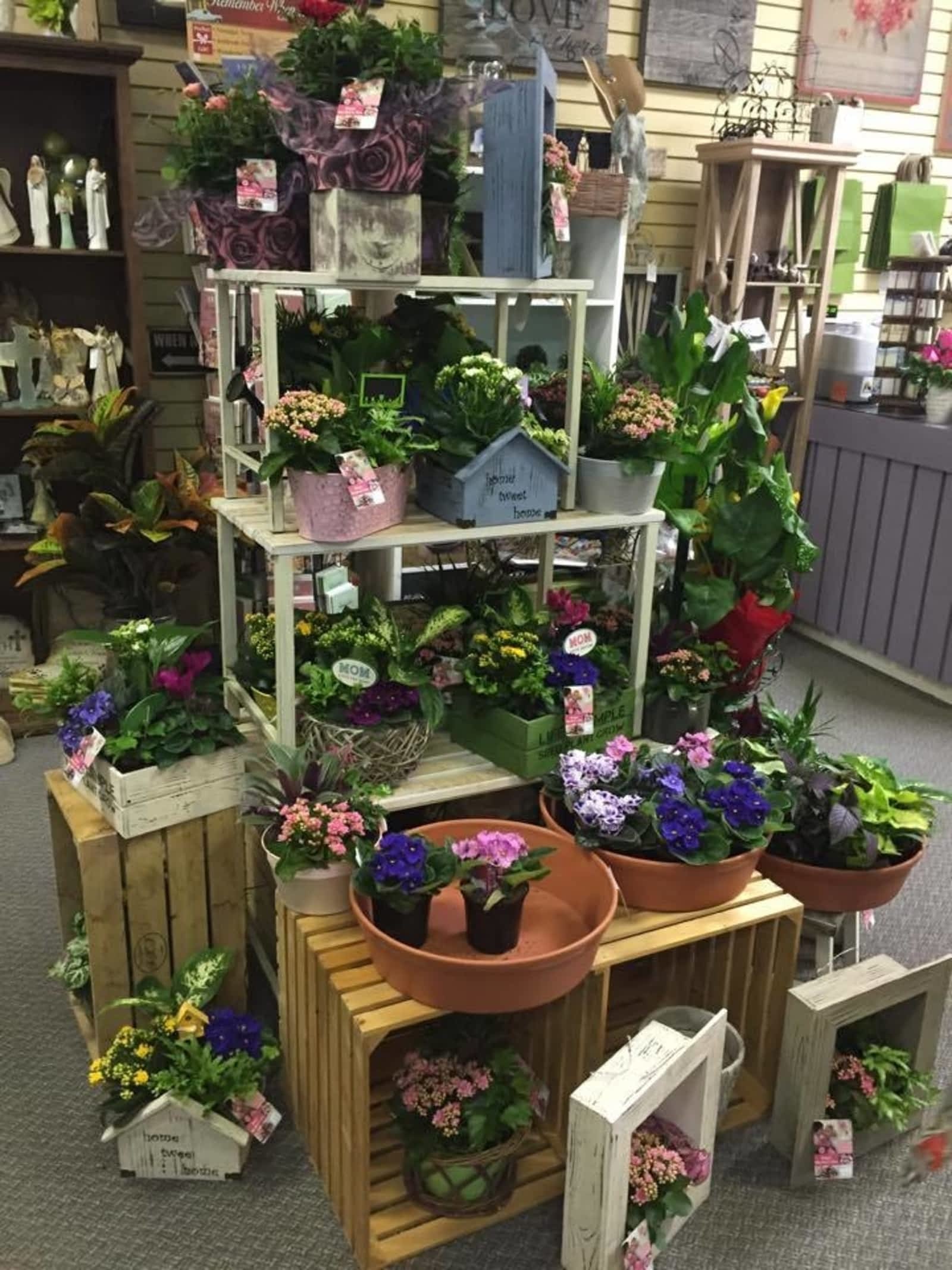 Flowers By Joanne Opening Hours 4806a 50th Ave Bonnyville Ab