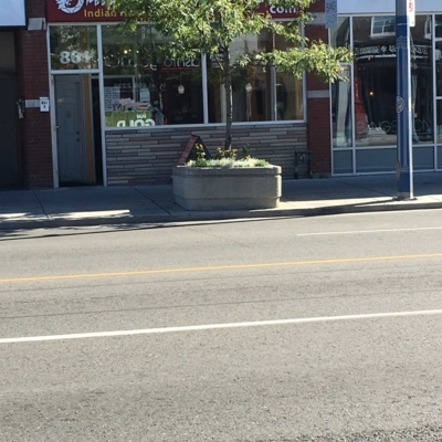 Danforth Dragon Restaurant - Restaurants