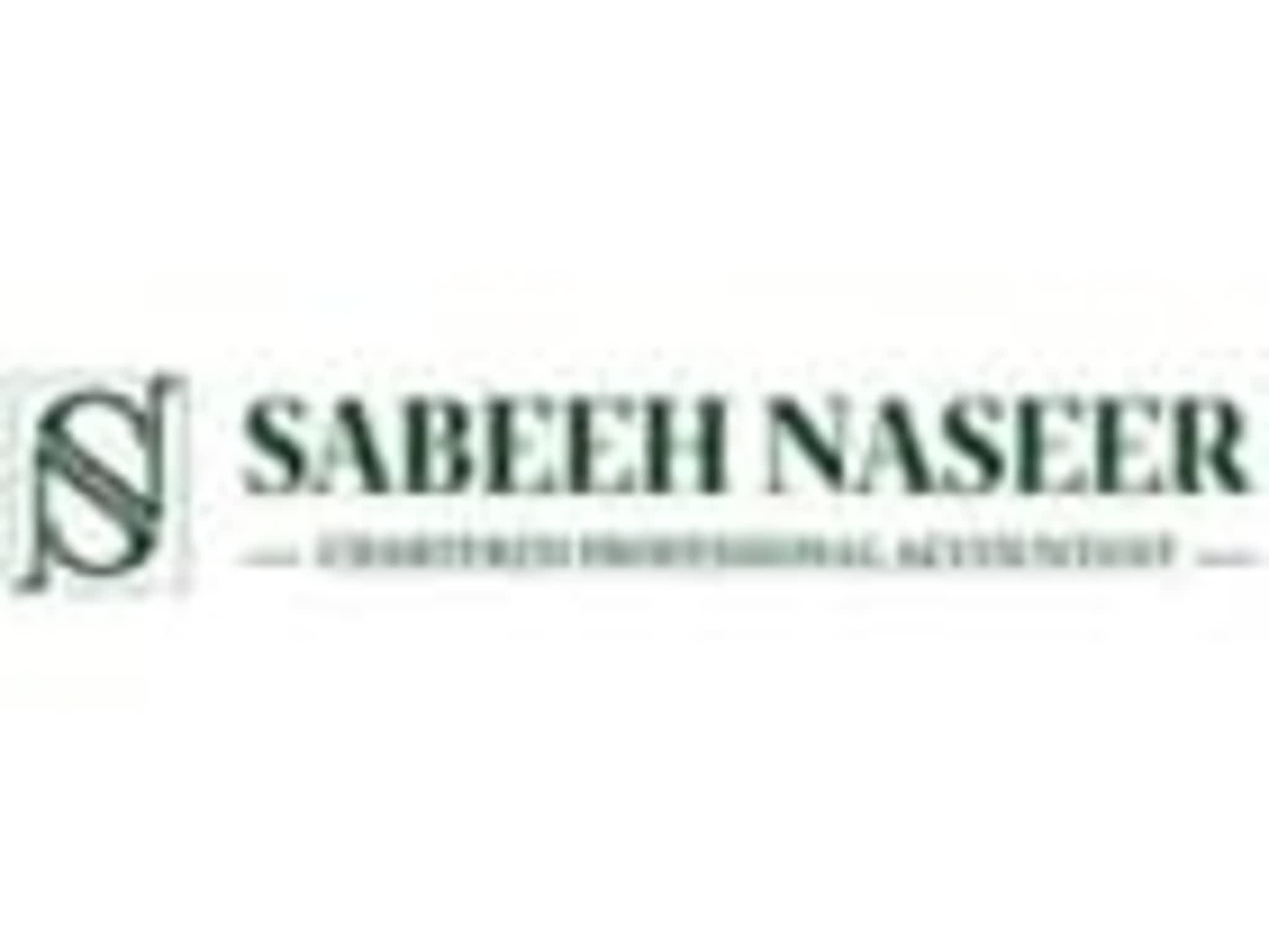 photo Sabeeh Naseer, Chartered Professional Accountant