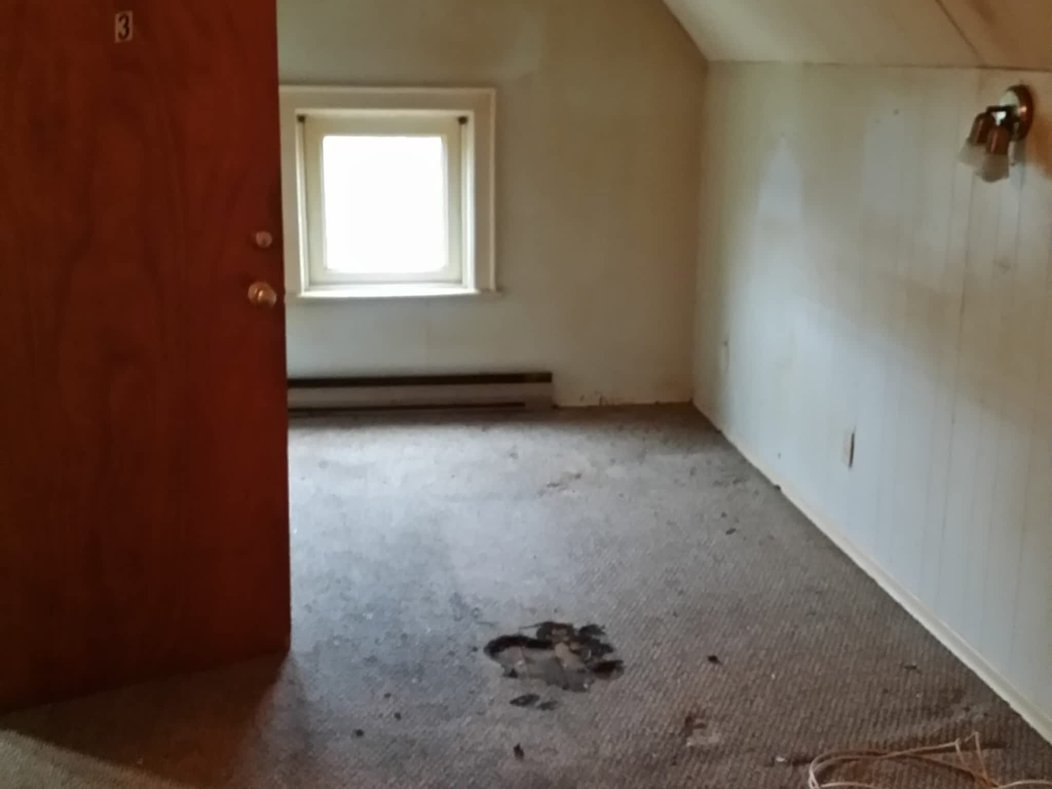 photo Goodbye Junk Cleanup & Bin Rental Services