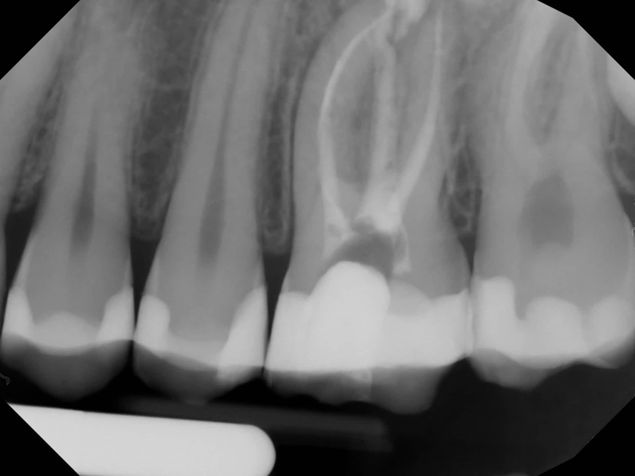 photo Dr. Elie M. Wolfson