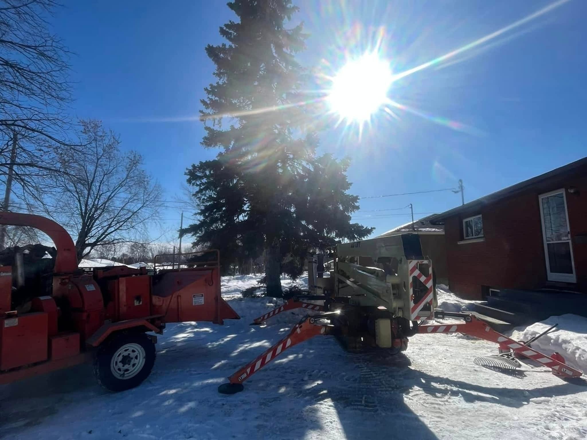 photo Master Tree Service