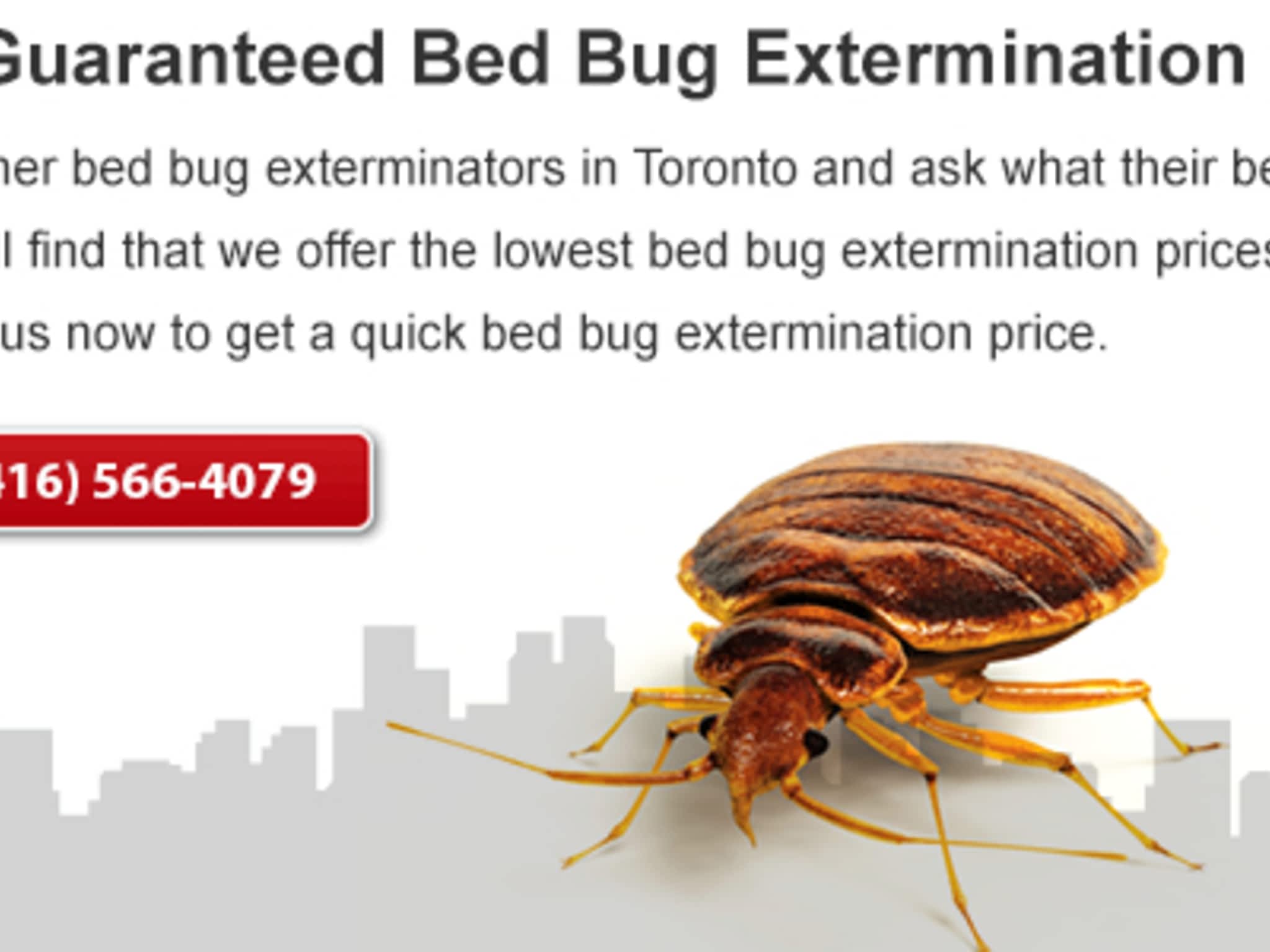 photo Bed Bug Exterminator Pro
