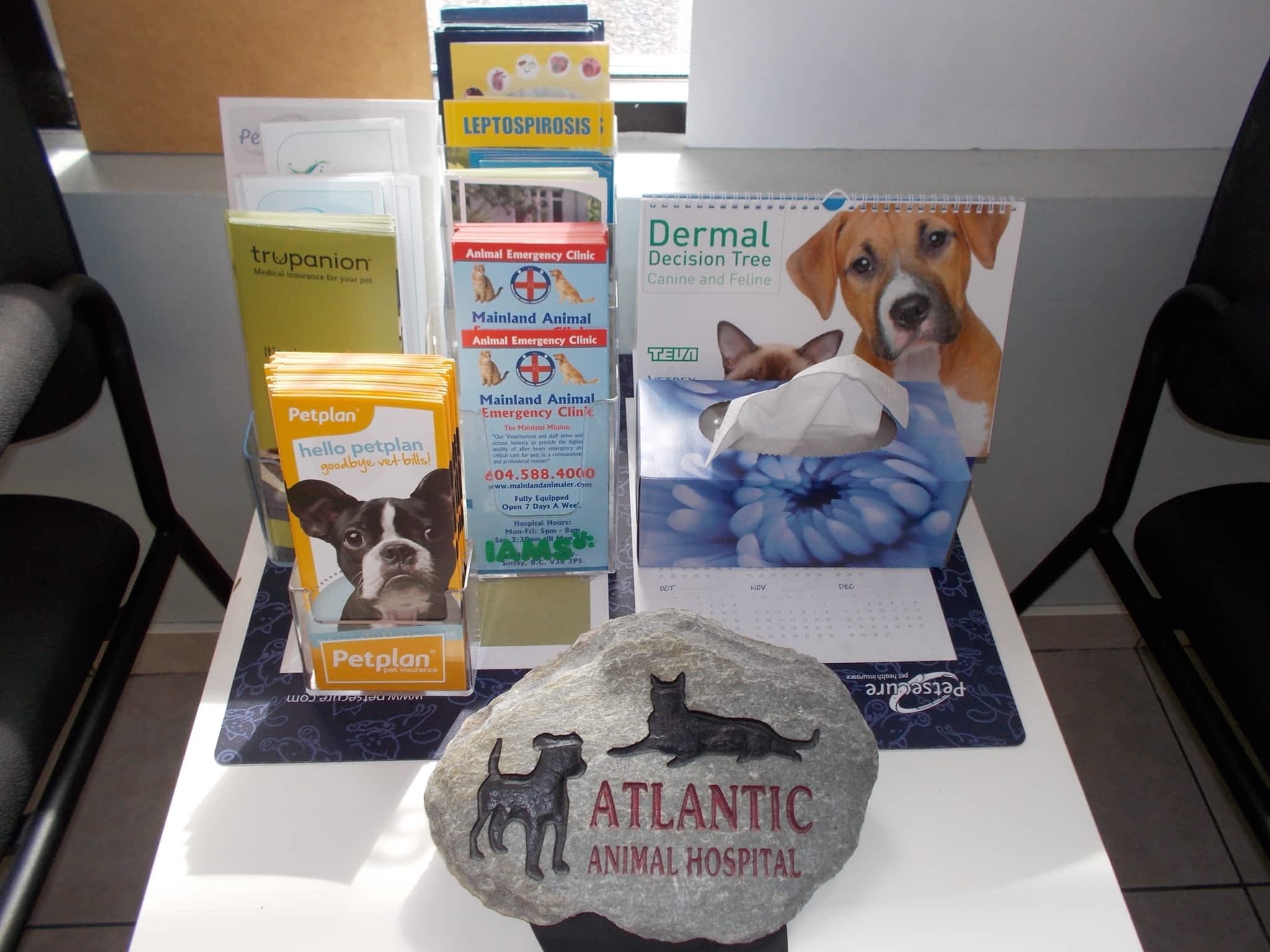photo Atlantic Animal Hospital