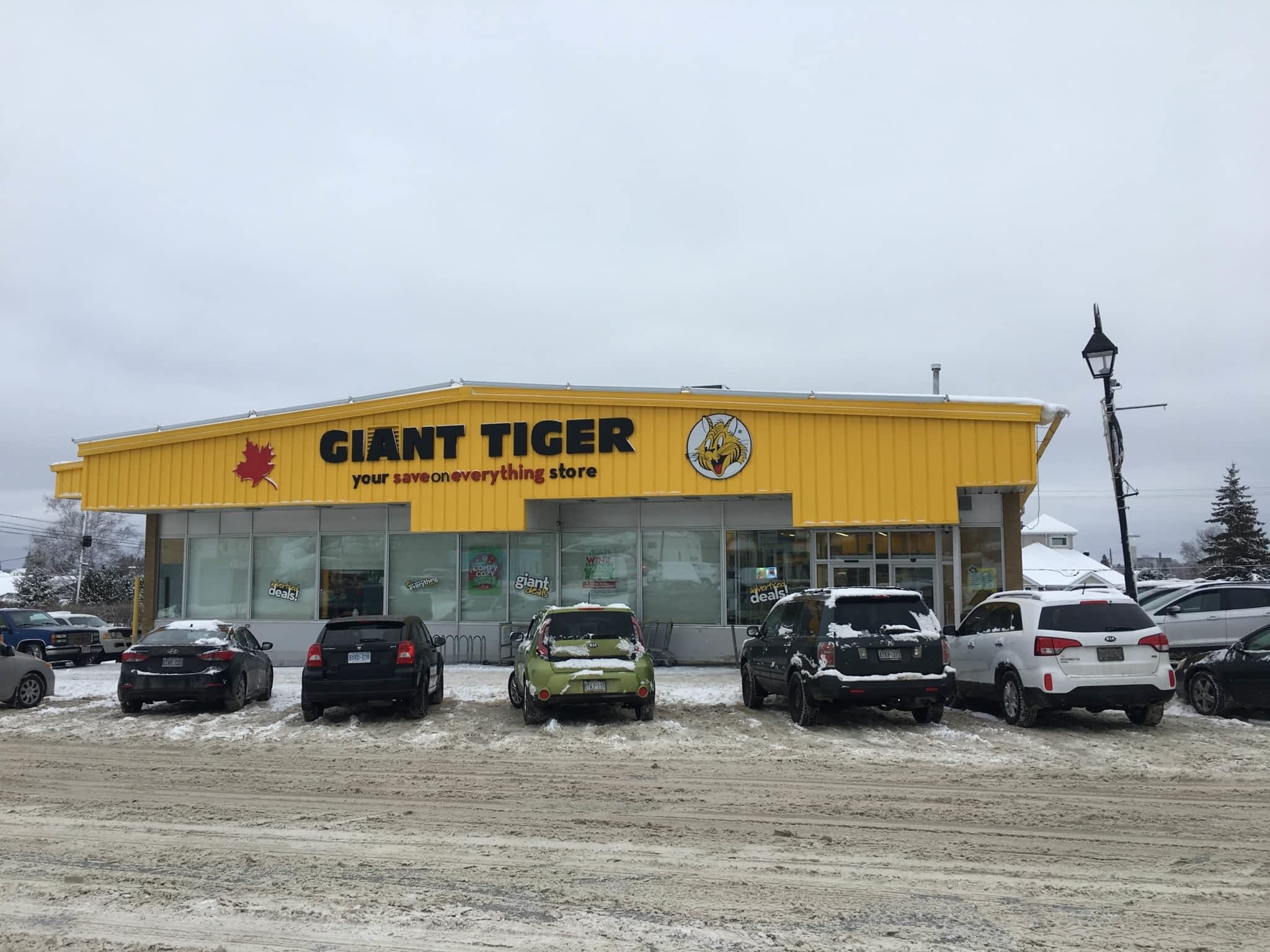 photo Giant Tiger