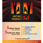 Abattage Émondage S&S - Logo