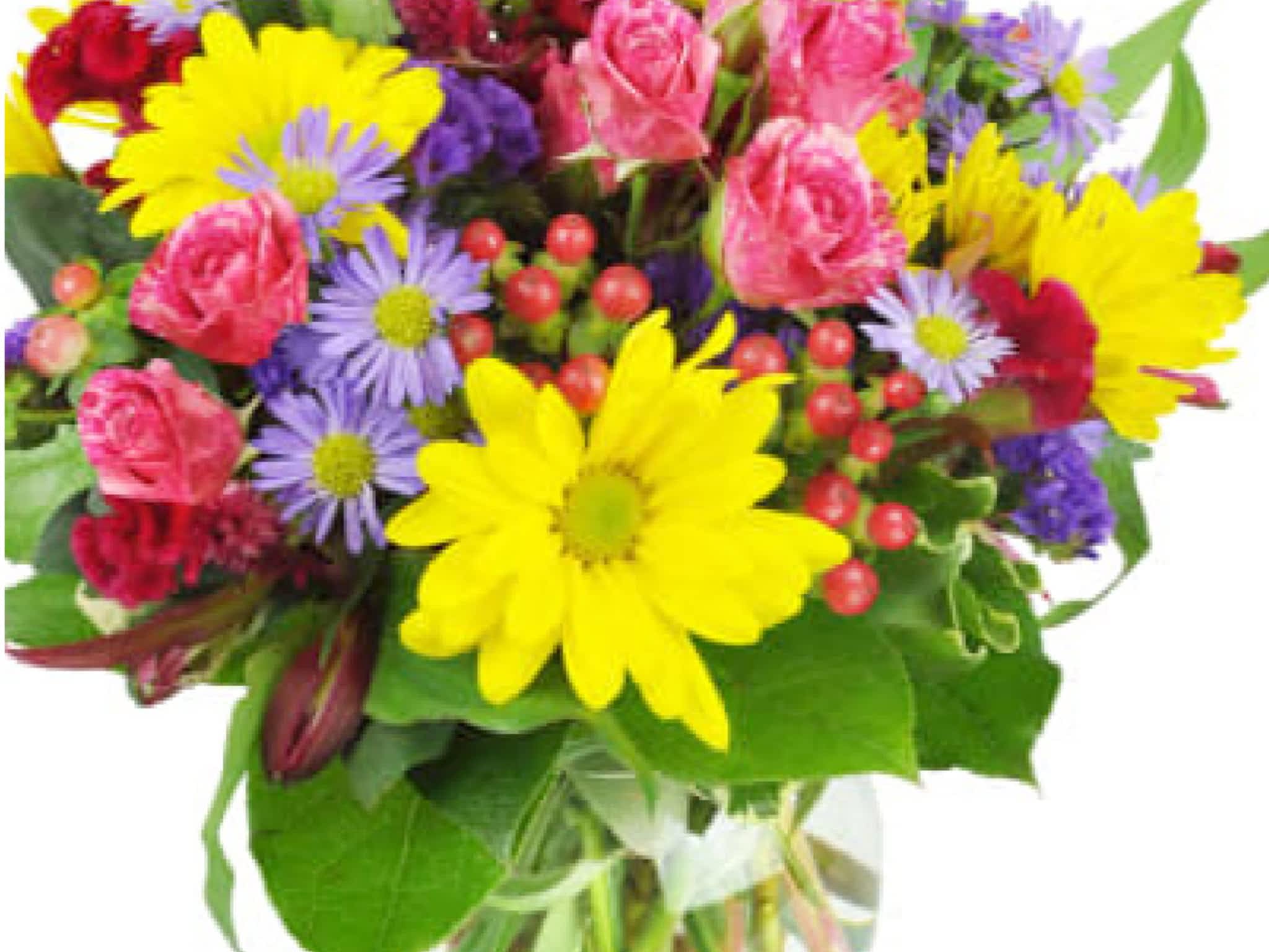 photo Flowers Plus