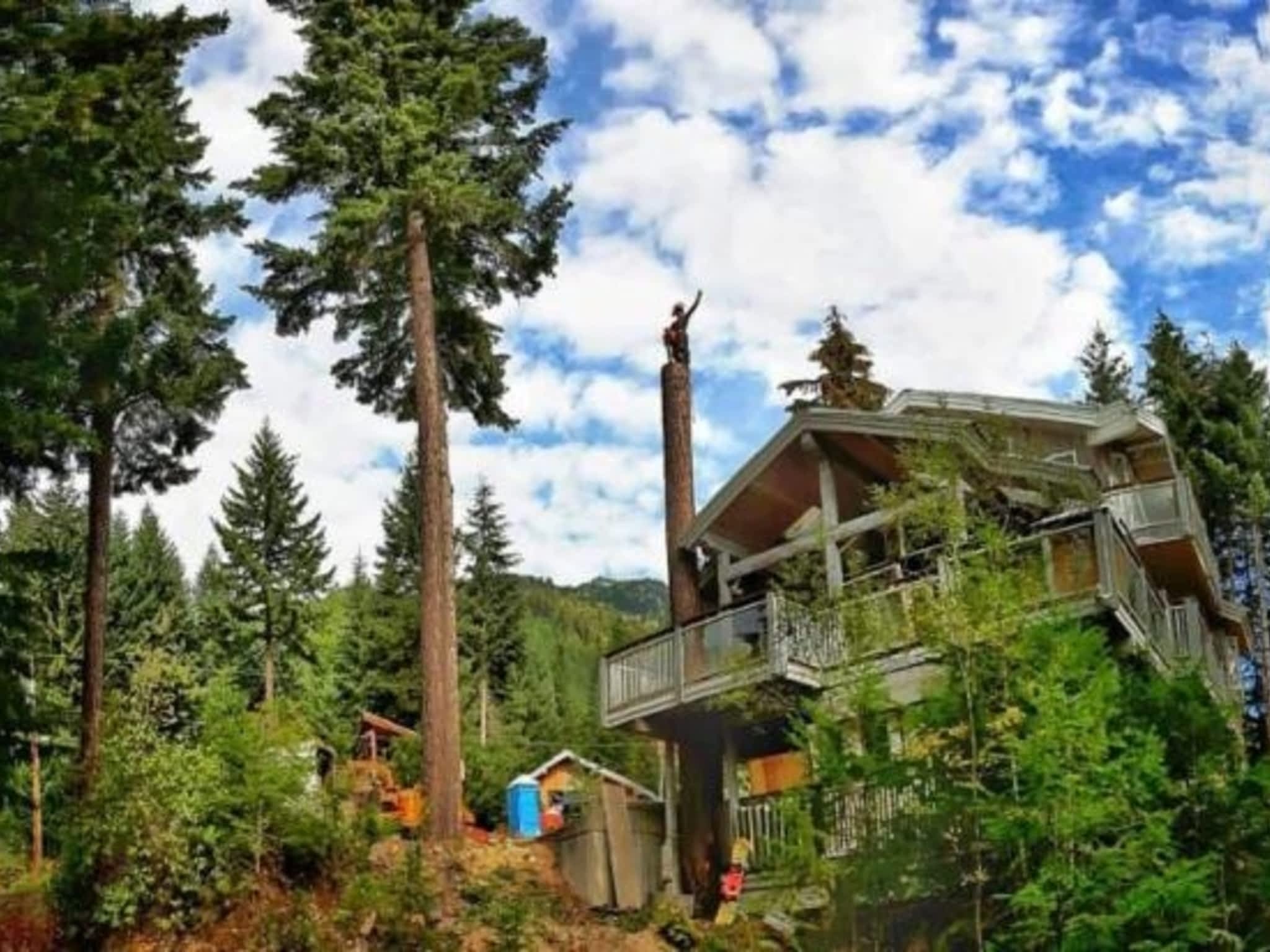 photo Windfirm Tree Services