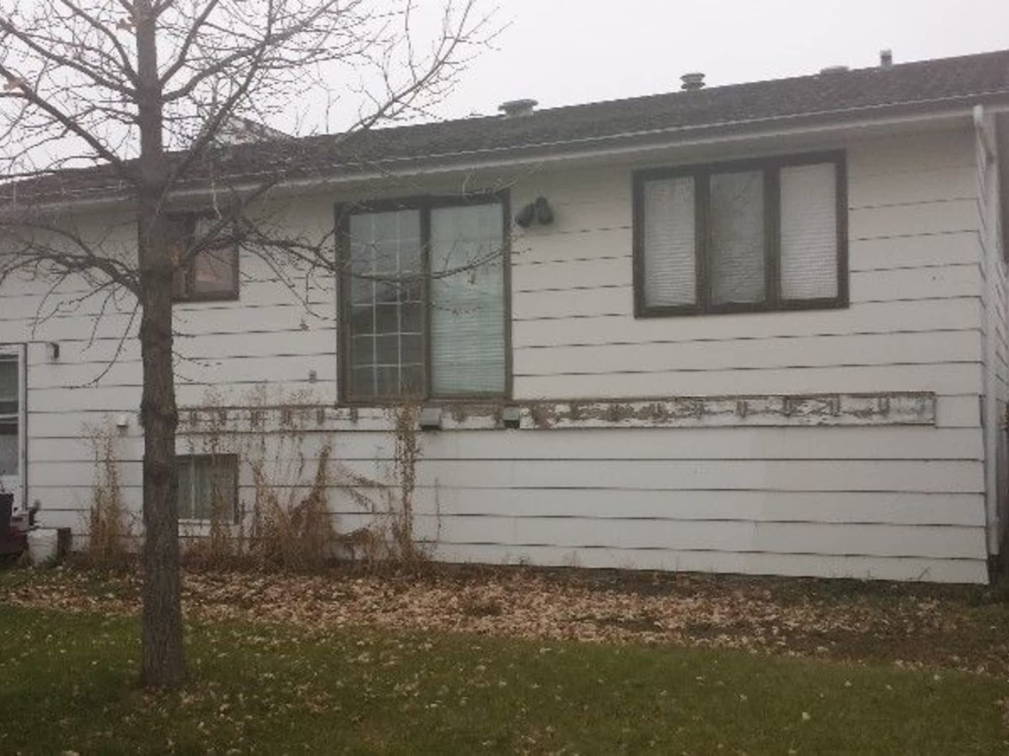 photo Mr. Avatar Carpentry