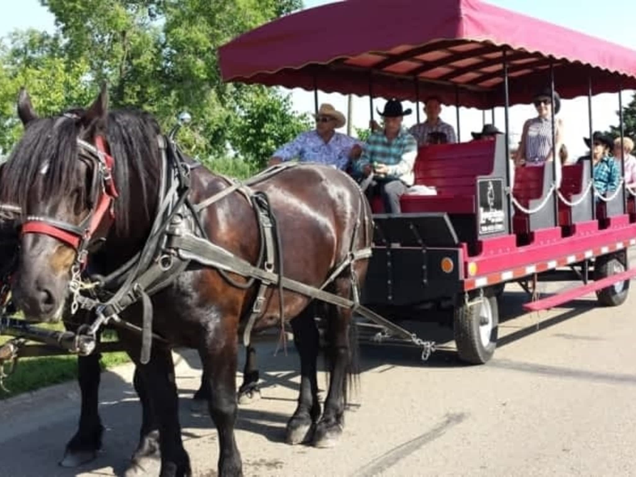 photo Lonestar Ranch Wagons & Sleighs