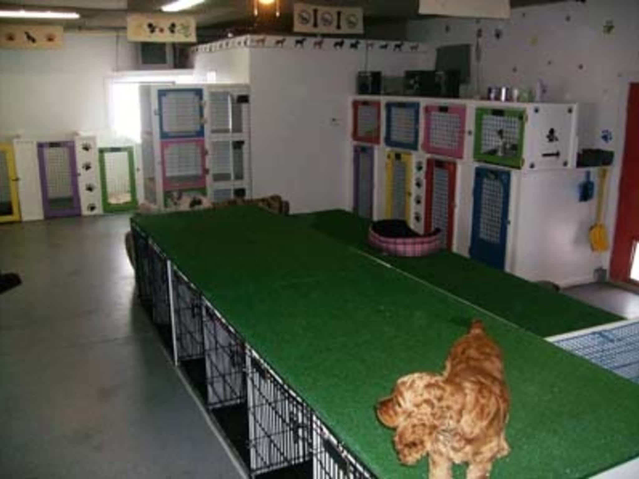 Animal House Dog & Cat Boarding Seven Persons, AB 12208 Range Rd 72