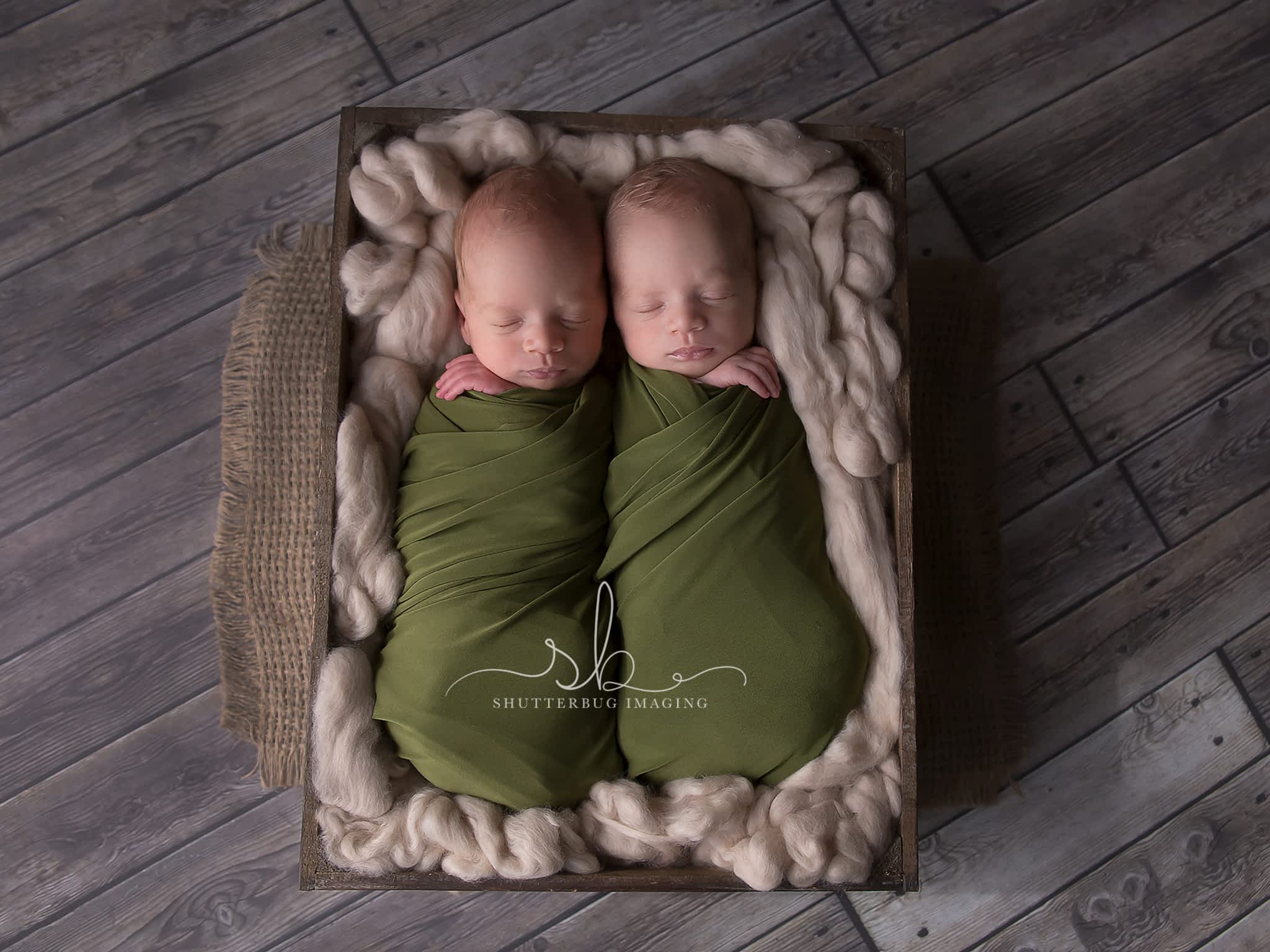 photo Shutterbug Imaging