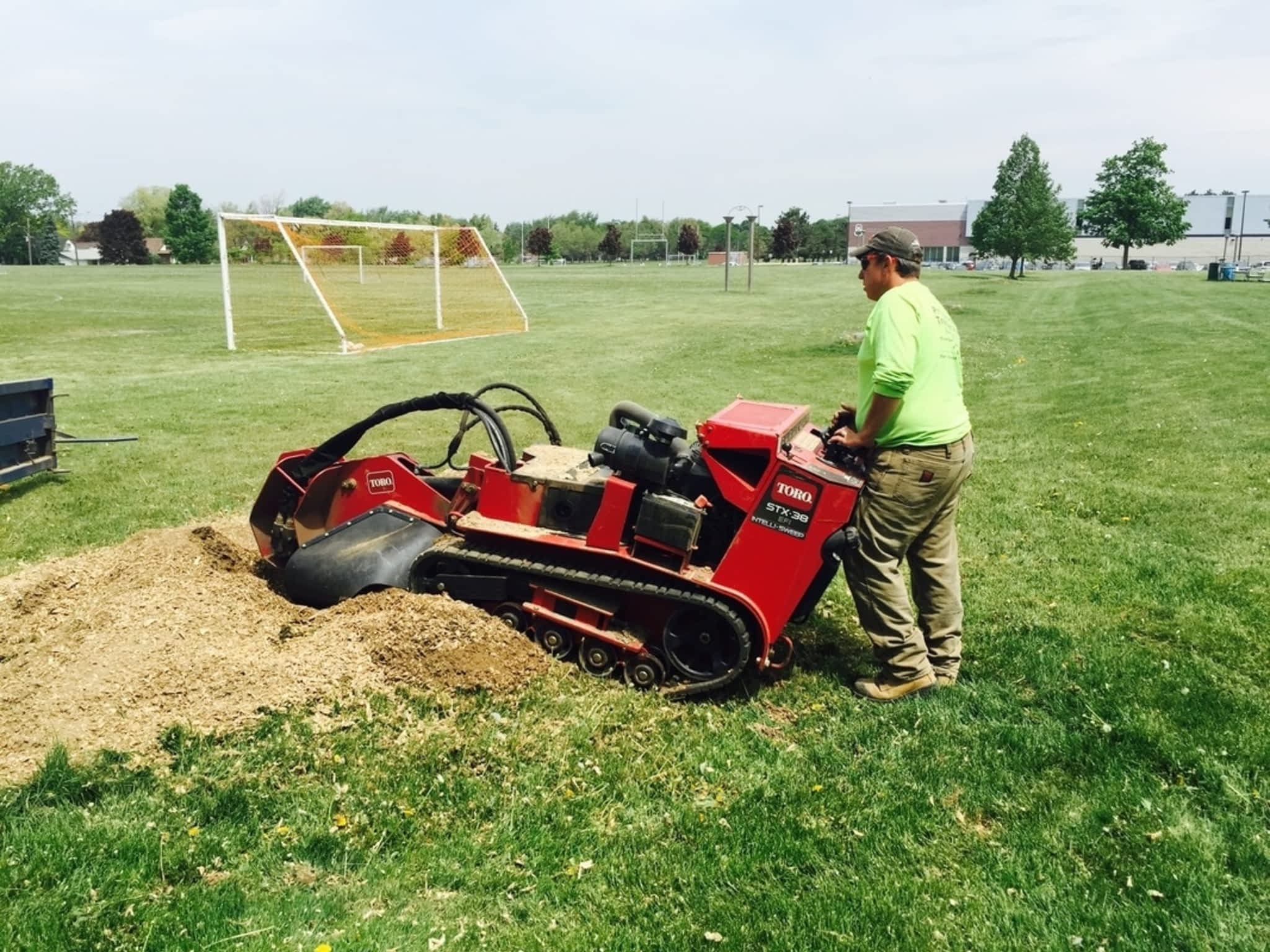 photo Professional Tree Services