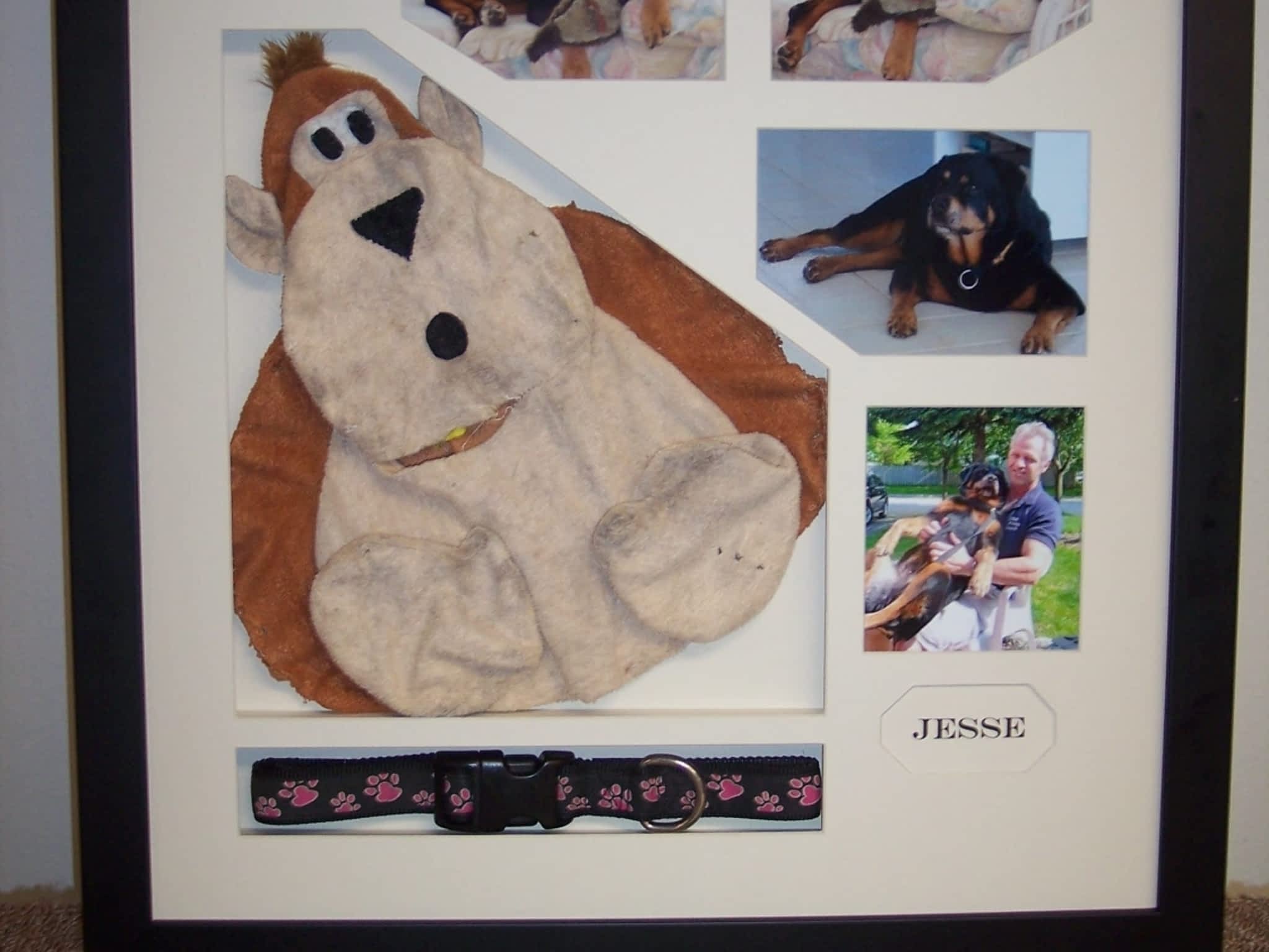 photo The Framing Post & Design Studio