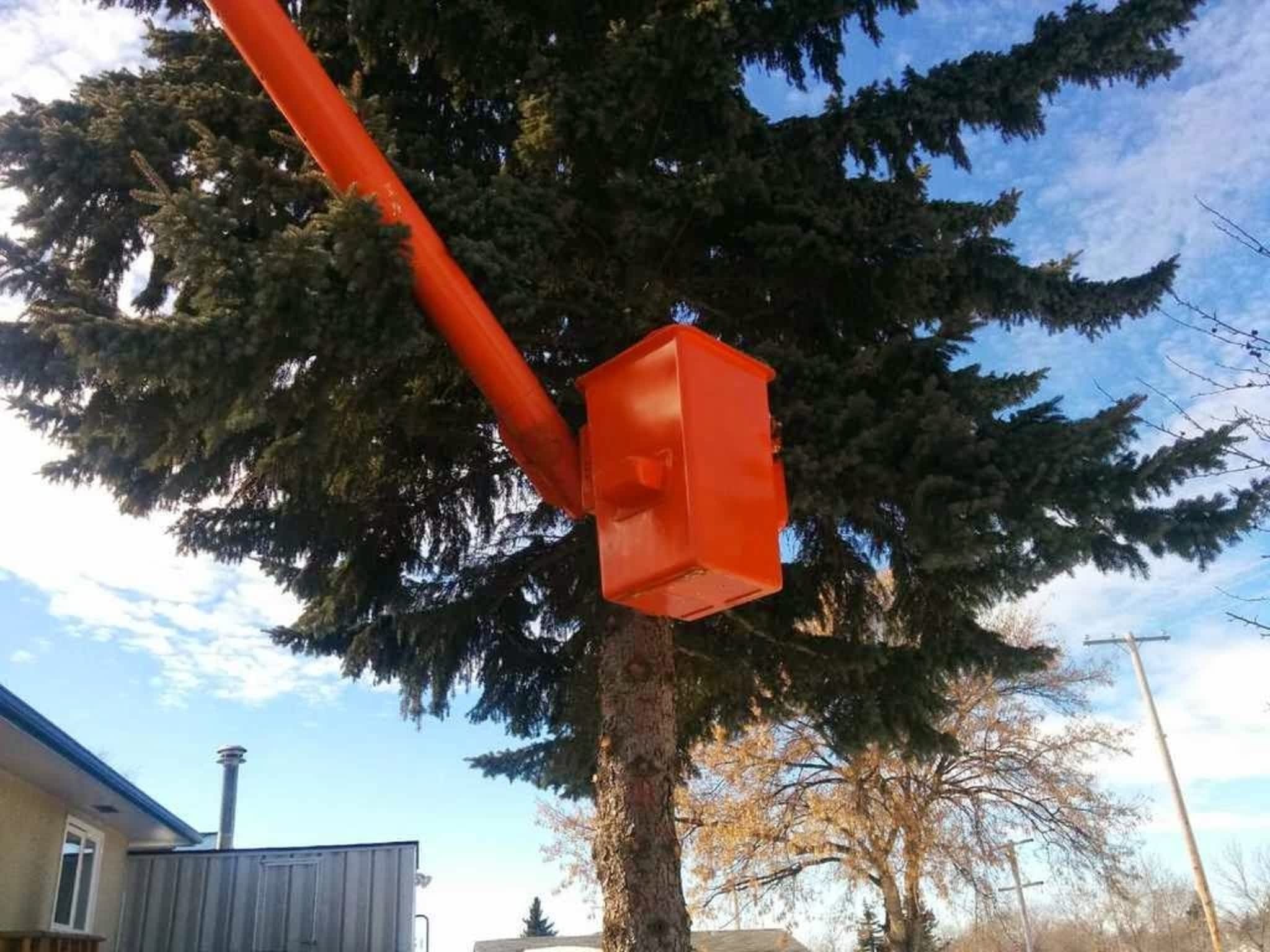 photo V&J Tree Services