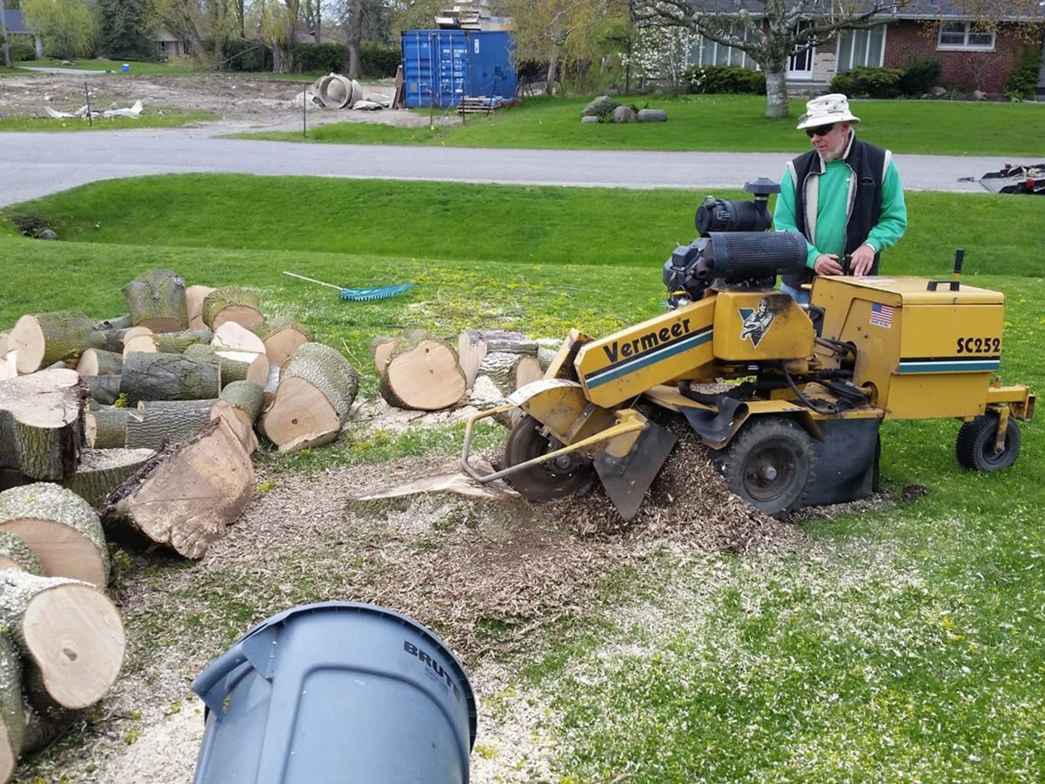 photo Branches Tree Service