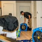 GTA Bed Bug Exterminators - Extermination et fumigation