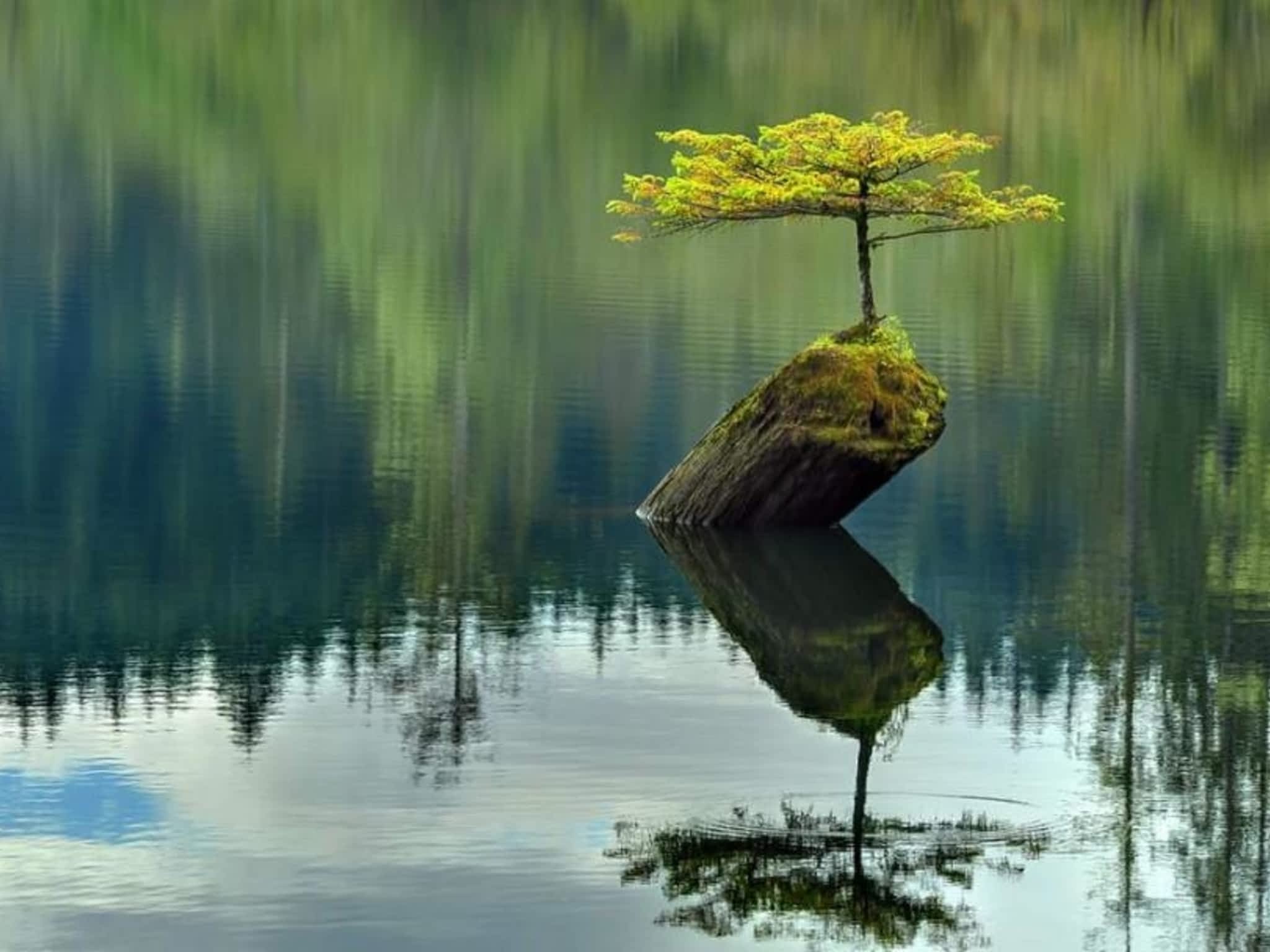 photo Zénitude Concept