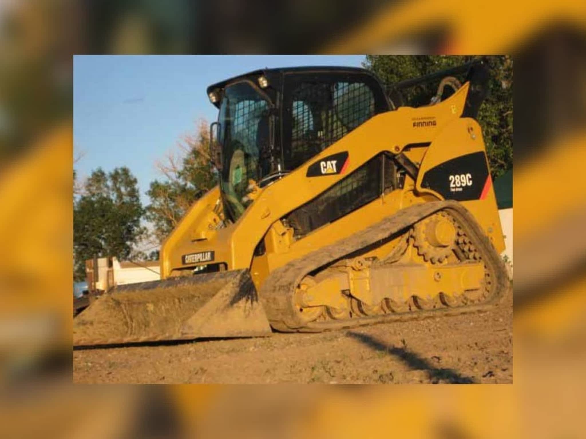 photo Elliott Cats Ltd