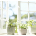 BM Cleaning Service - Nettoyage résidentiel, commercial et industriel