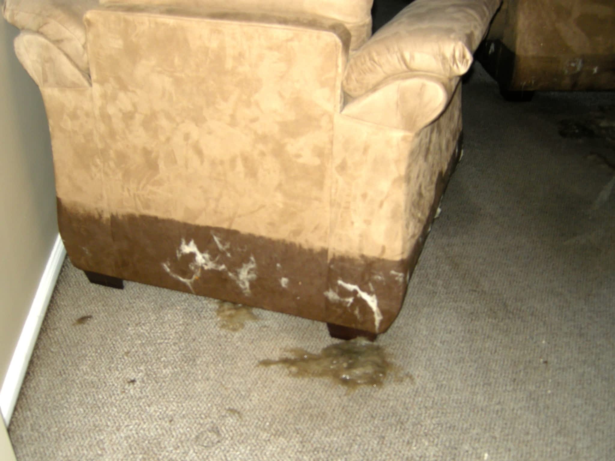 photo Sunrise Restorations Ltd