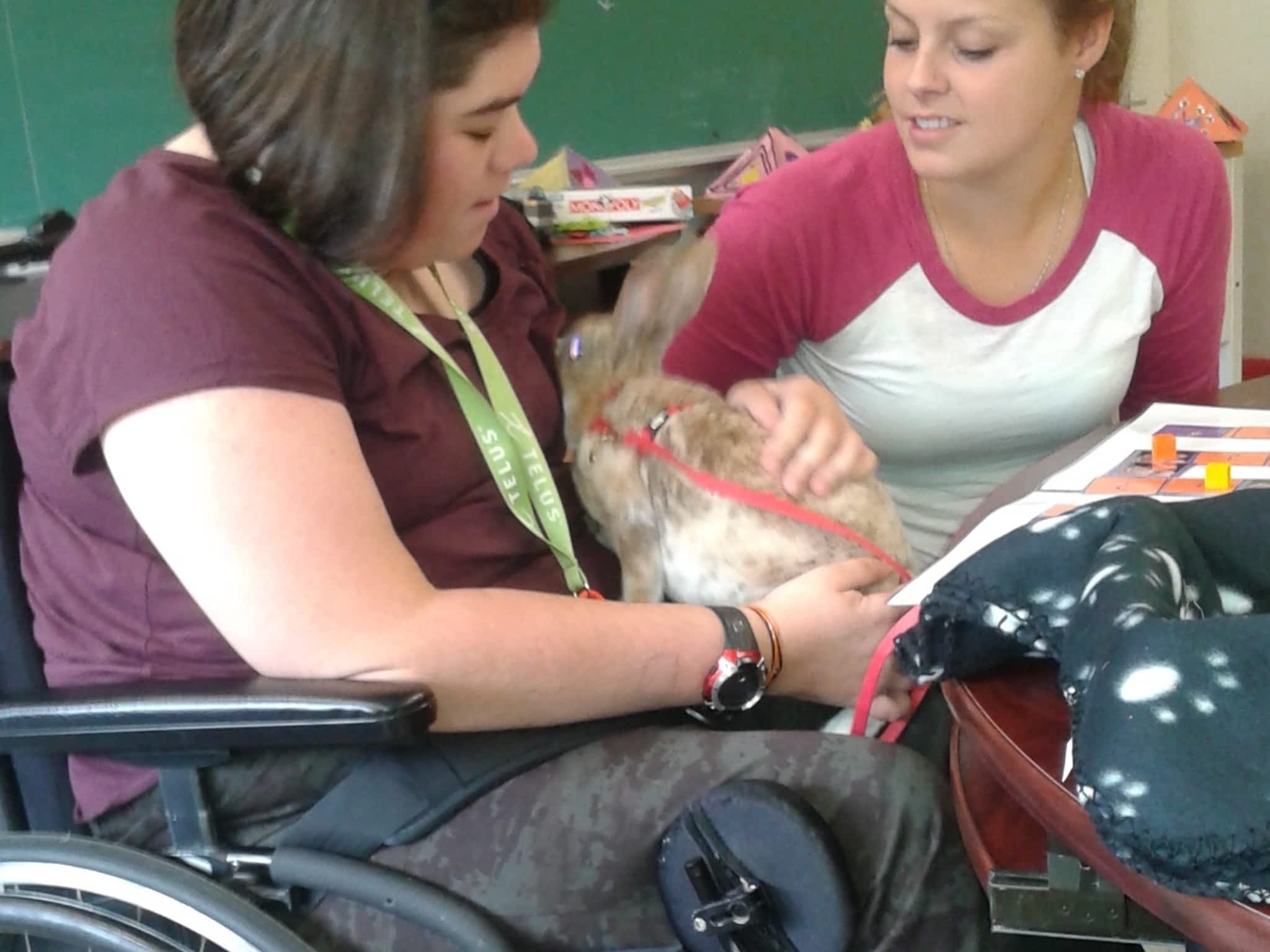 photo Services d'Interventions Mélissa Robitaille