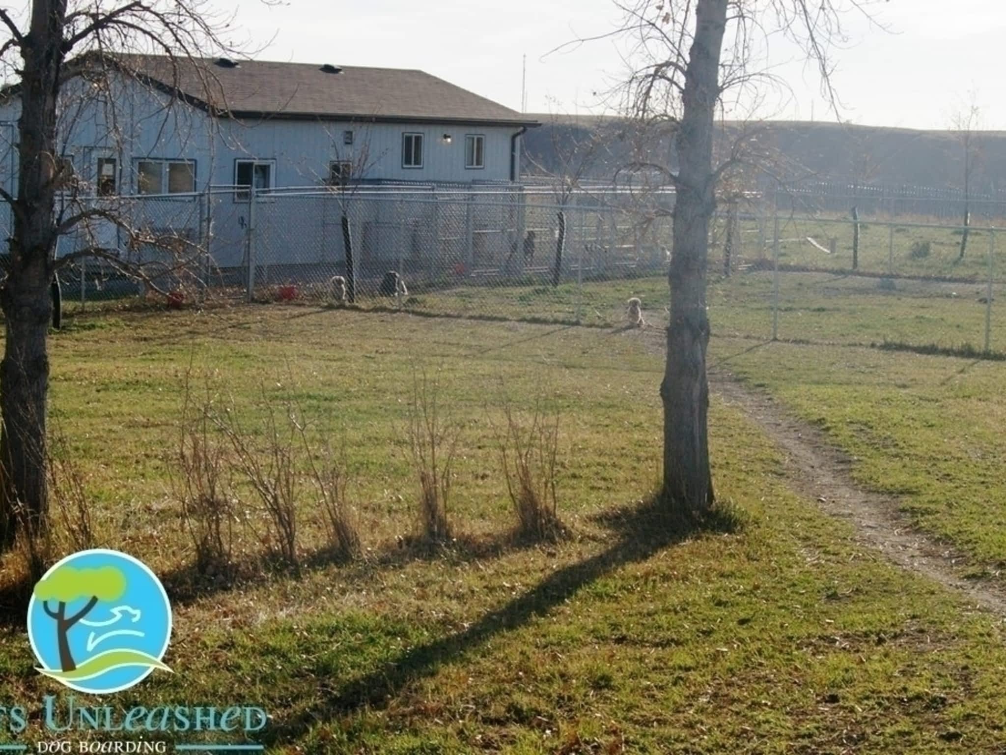 photo Pets Unleashed