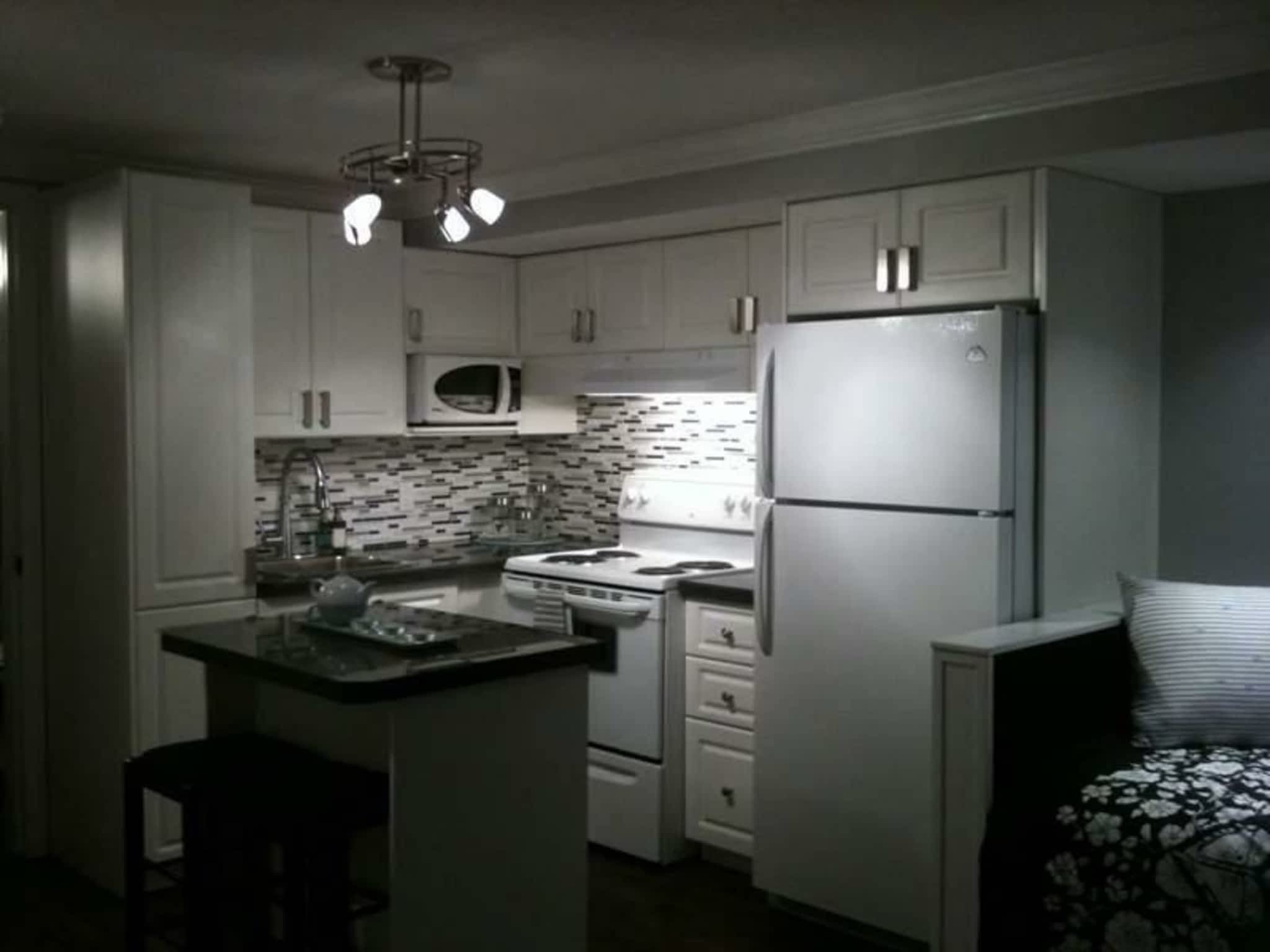 photo DC Scott Construction & Installations