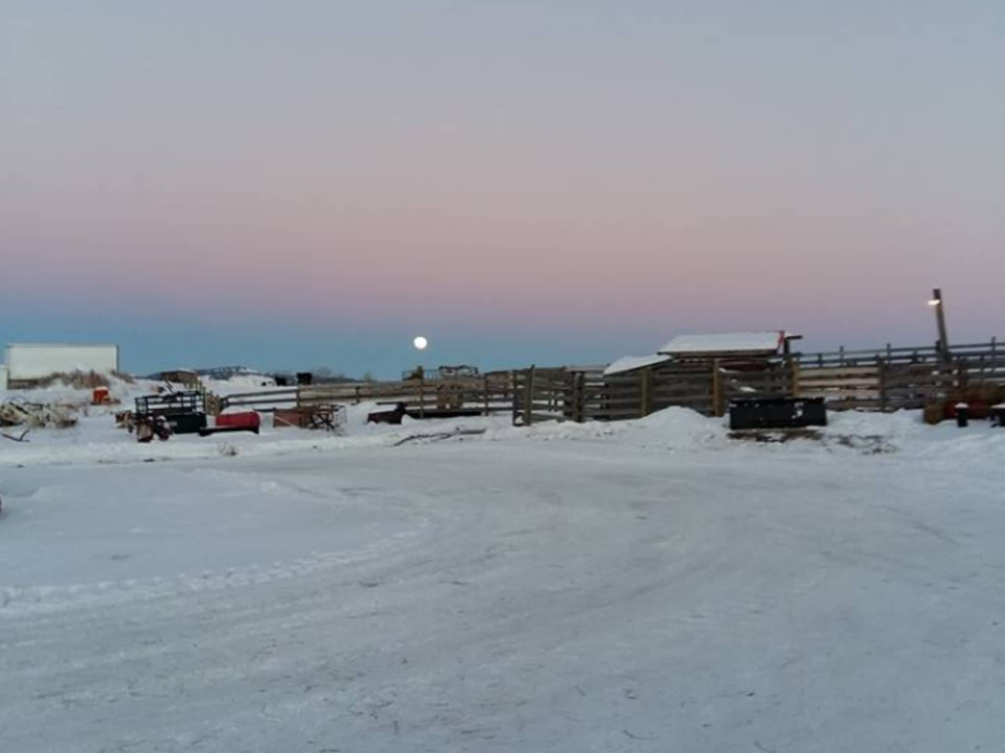 photo Lazy F D Ranches & Hay Sales Ltd