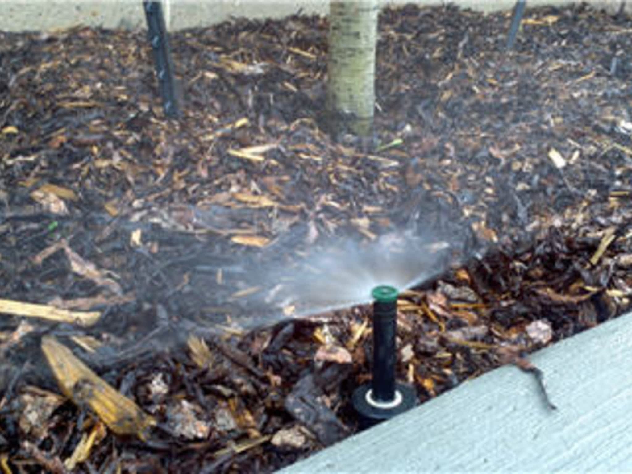 photo RBD Construction