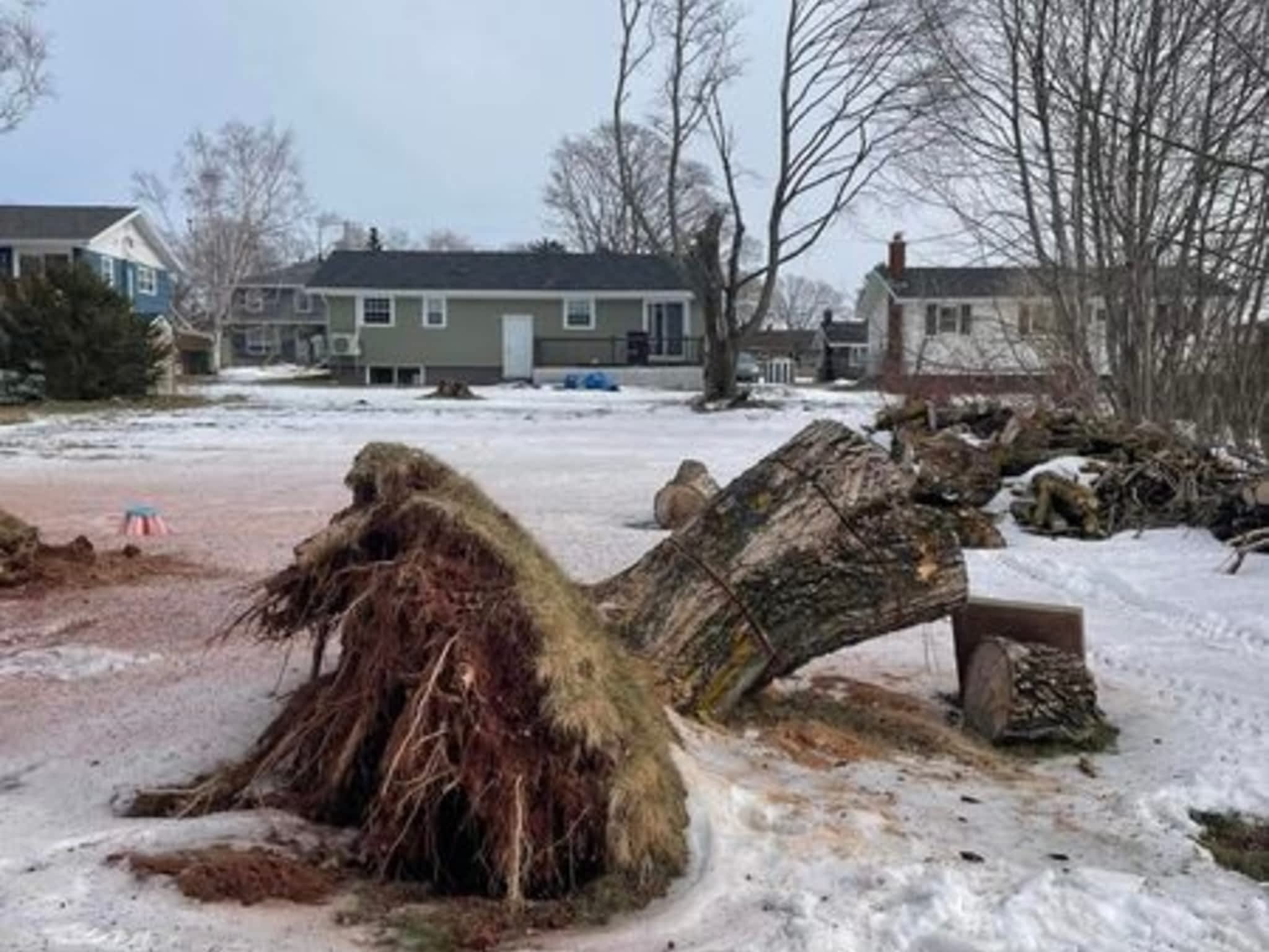 photo Turner Property Services