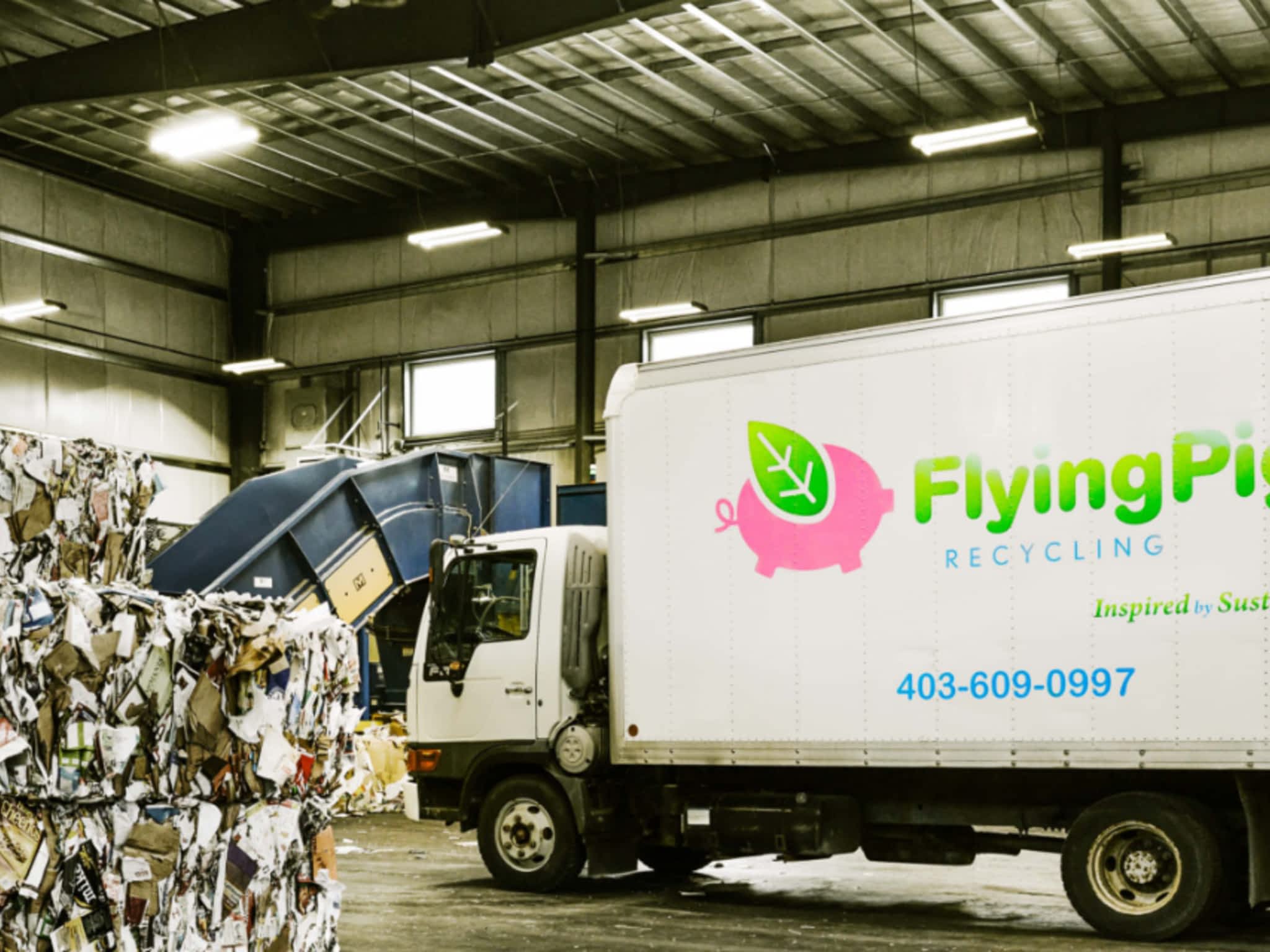 photo Flying Pigs Recycling