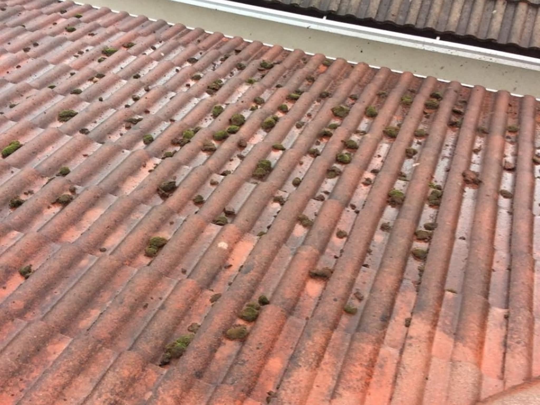 photo Nickel Contracting