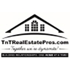 Tnt Real Estate Pros Ltd - Logo