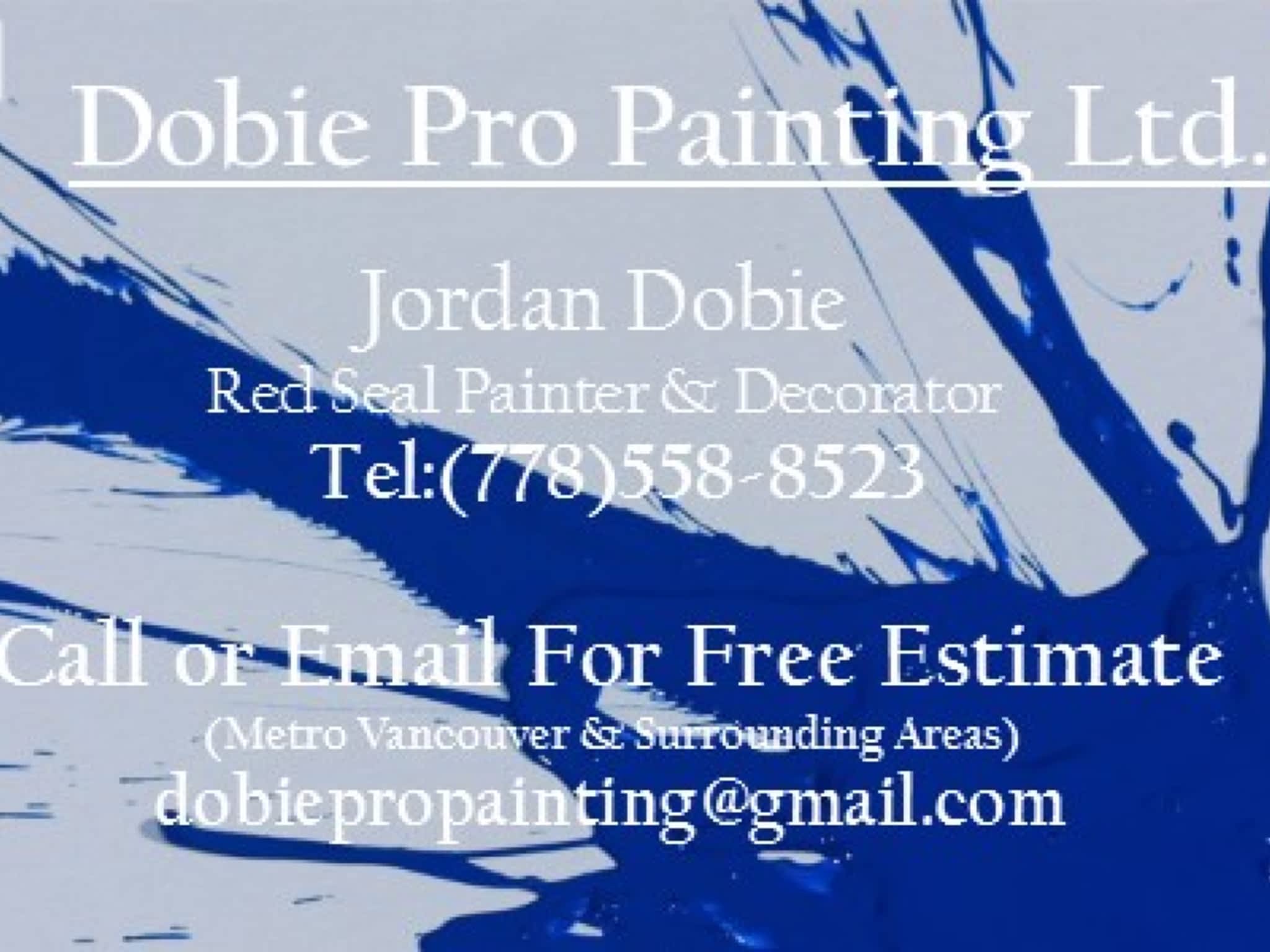 photo Dobie Pro Painting