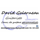 David Galarneau Guitariste (cours de guitare Personnalisés) - Écoles et cours de musique