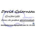 David Galarneau Guitariste (cours de guitare Personnalisés) - Logo