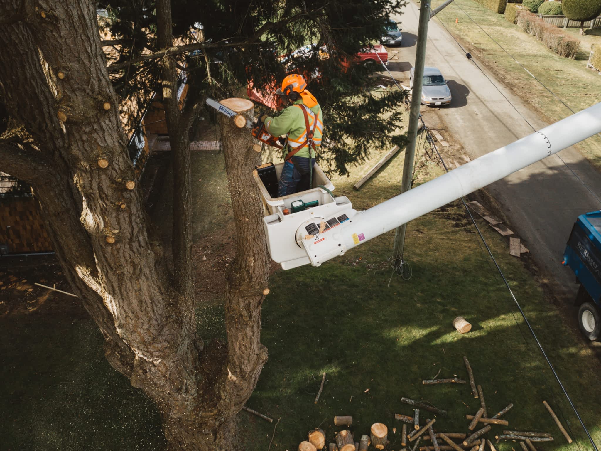 photo Saltwood Tree Services