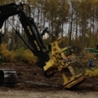 Hayes Vegetation Ltd - Oil Field Services