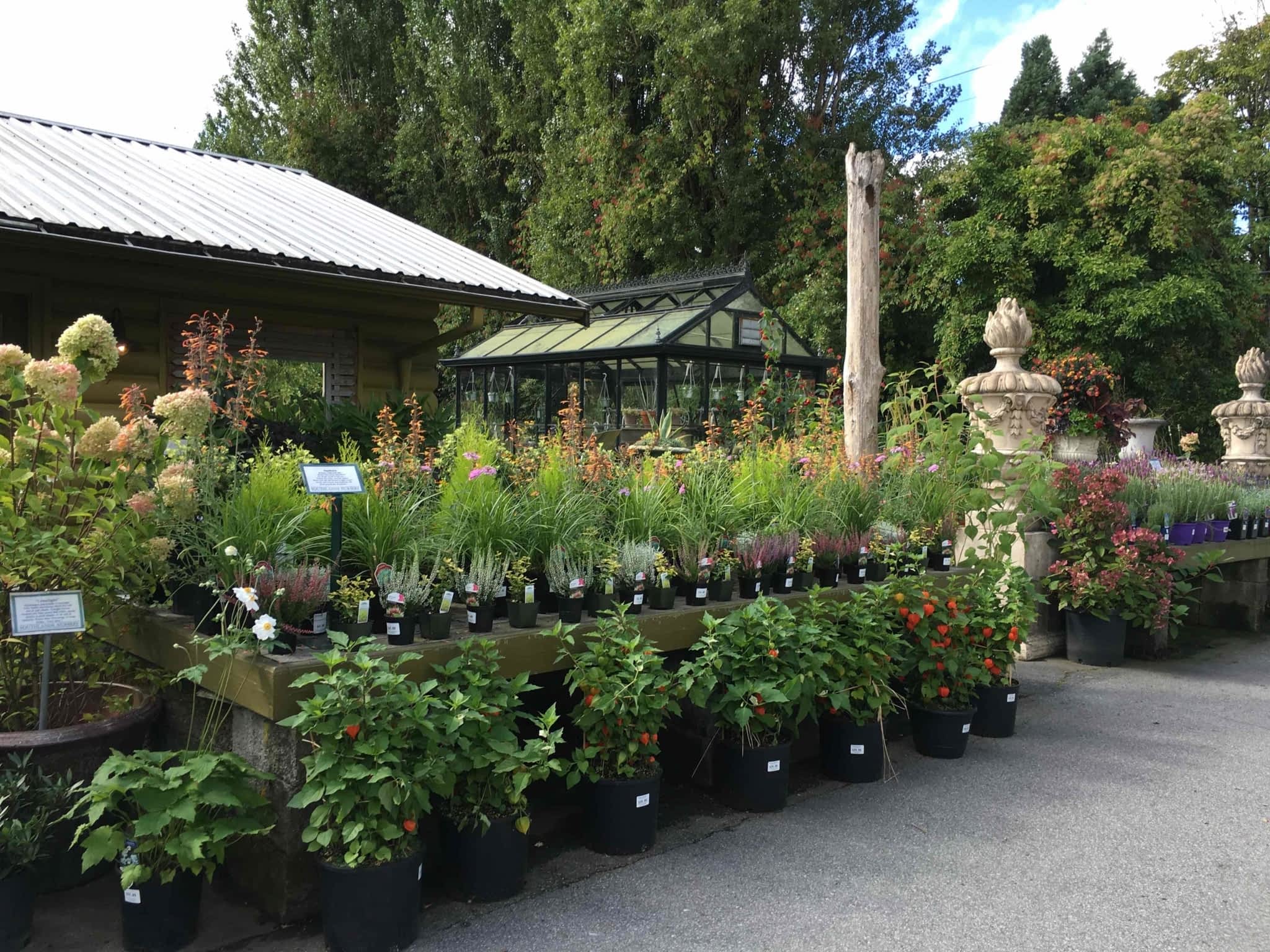 photo Southlands Nursery