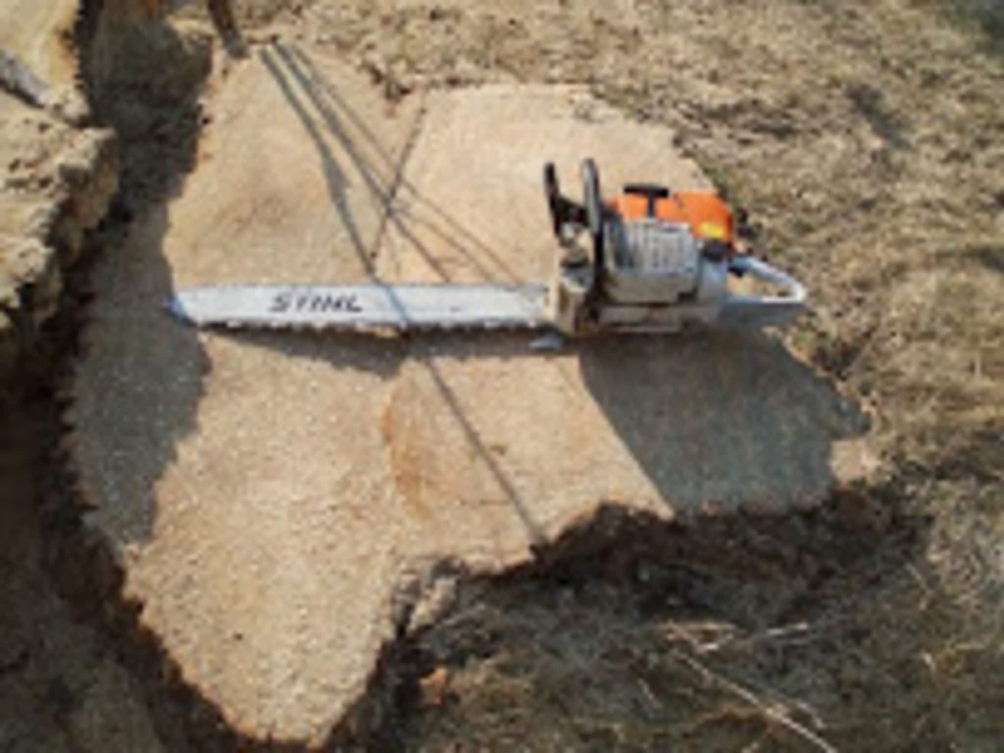 photo A C E Tree Care