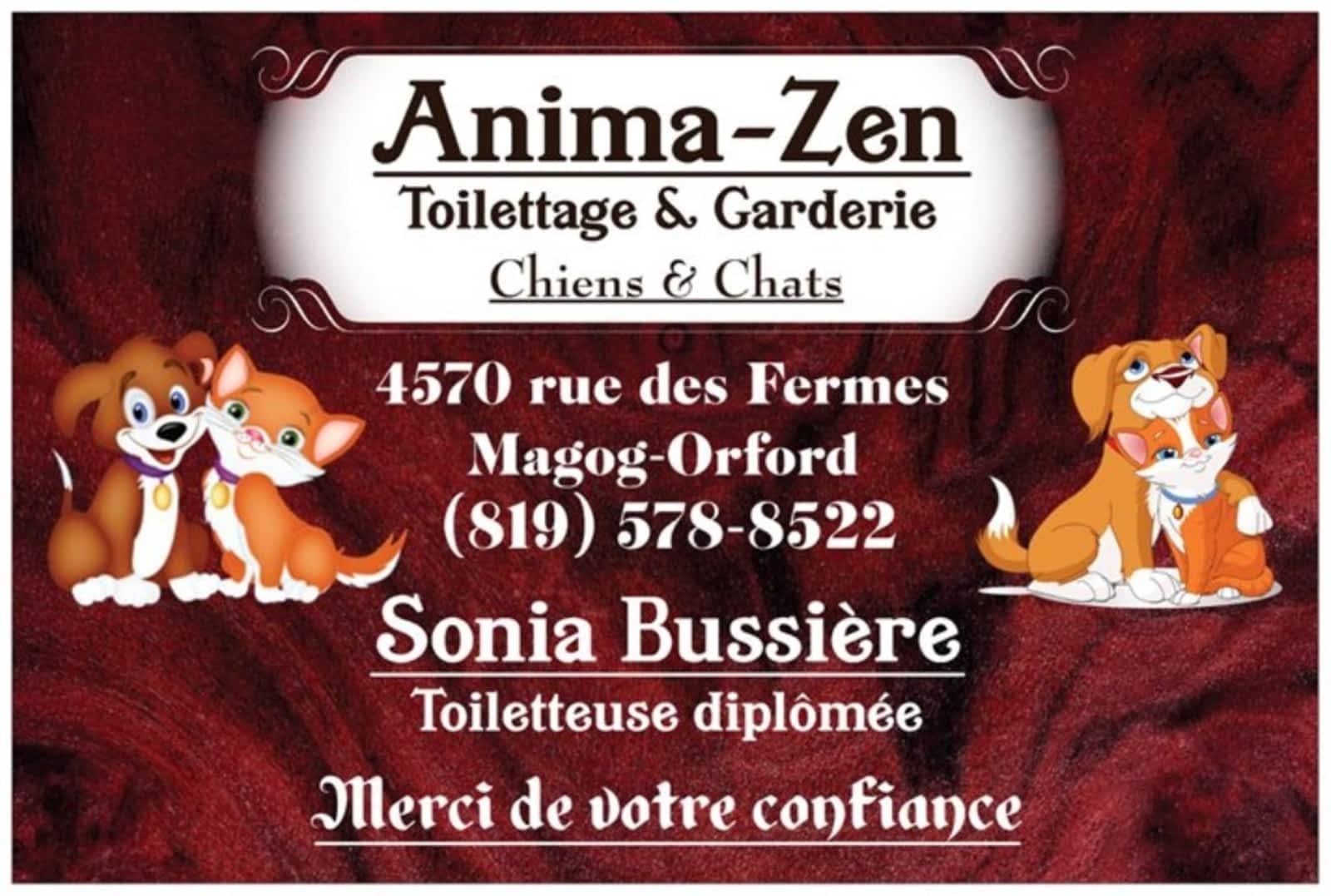 Anima Zen Toilettage Et Garderie Pour Chiens Et Chats