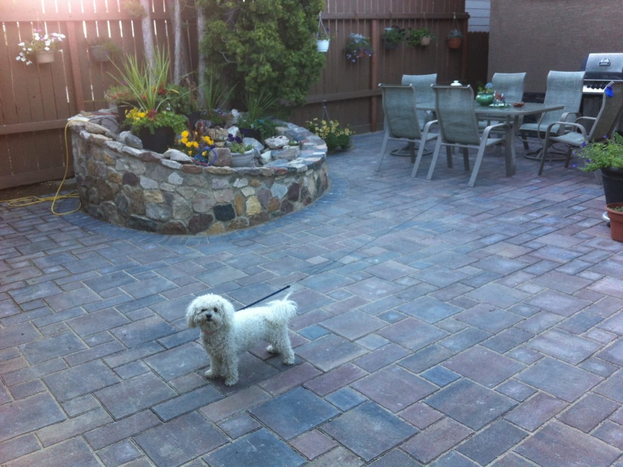 photo Sun Interlocking