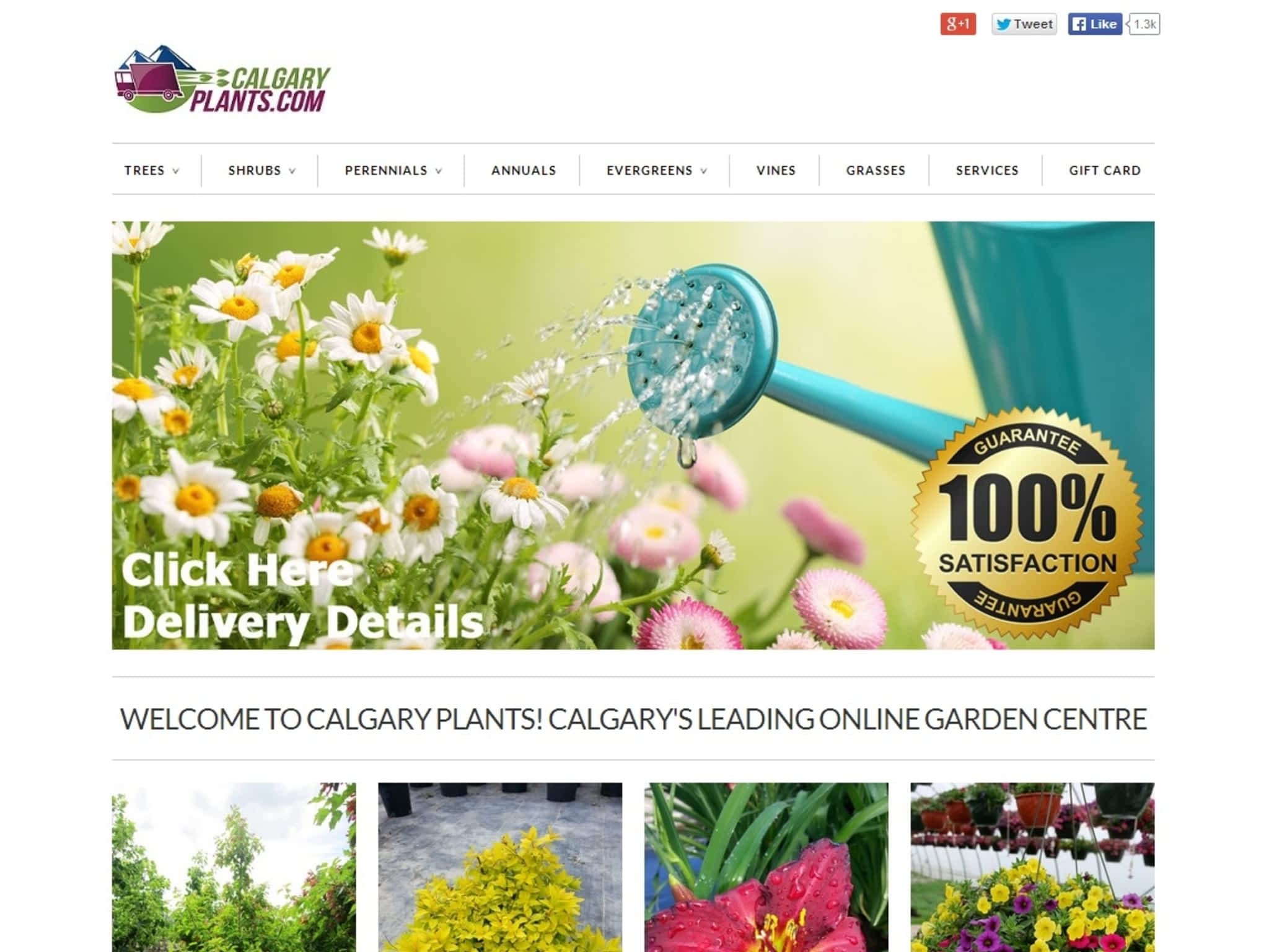 photo Calgary Plants Online Garden Center